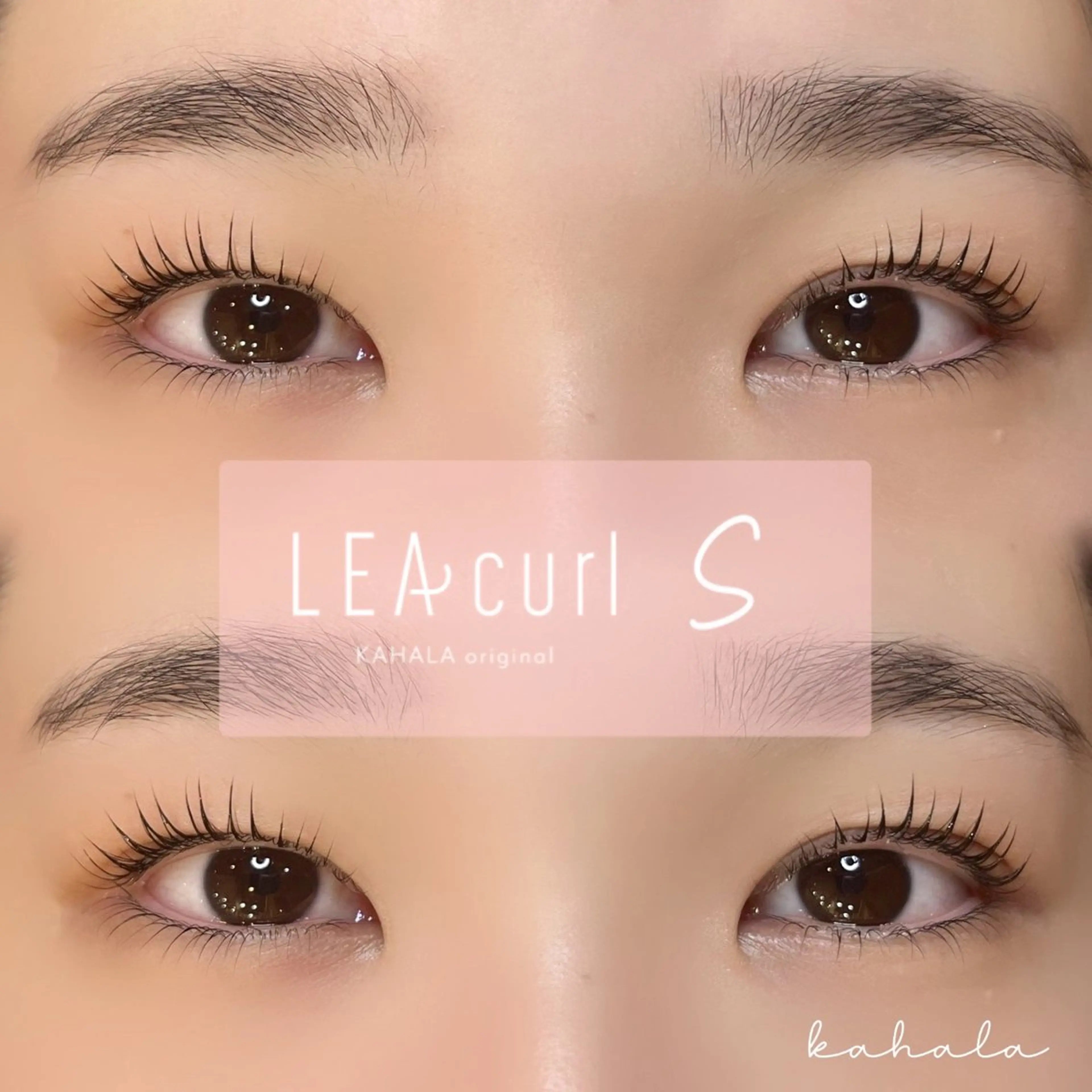 マツエク・マツパ マツパ Fujimoto 🦭⸝⋆꙳のマツエク・マツパデザイン