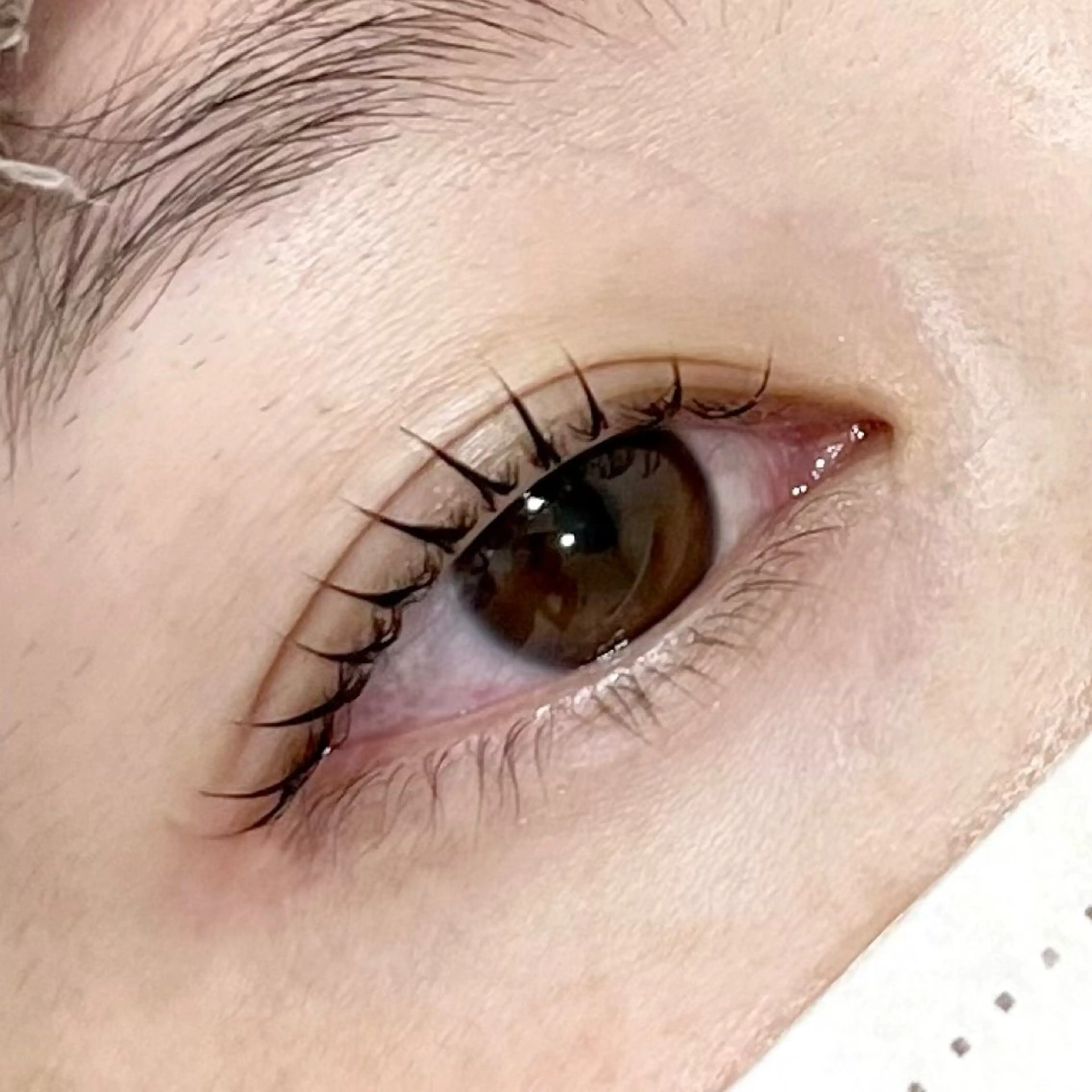 マツエク・マツパ ナチュラル grey🩶 YASUIのマツエク・マツパデザイン