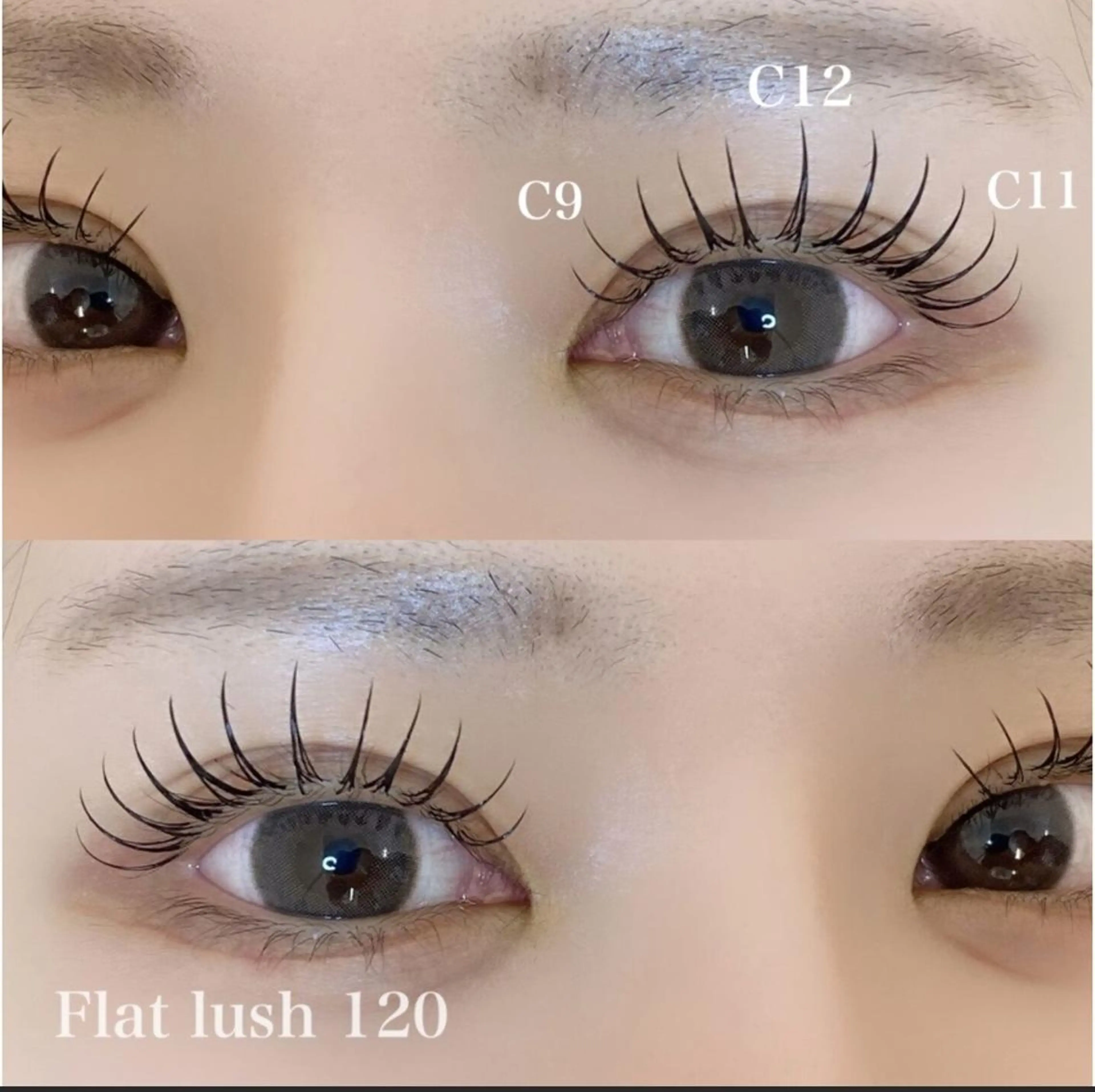 【60分】オフ込Wフラットorシングルフラットラッシュ💖LED+500円【60束/80束/100本/120本】の写真