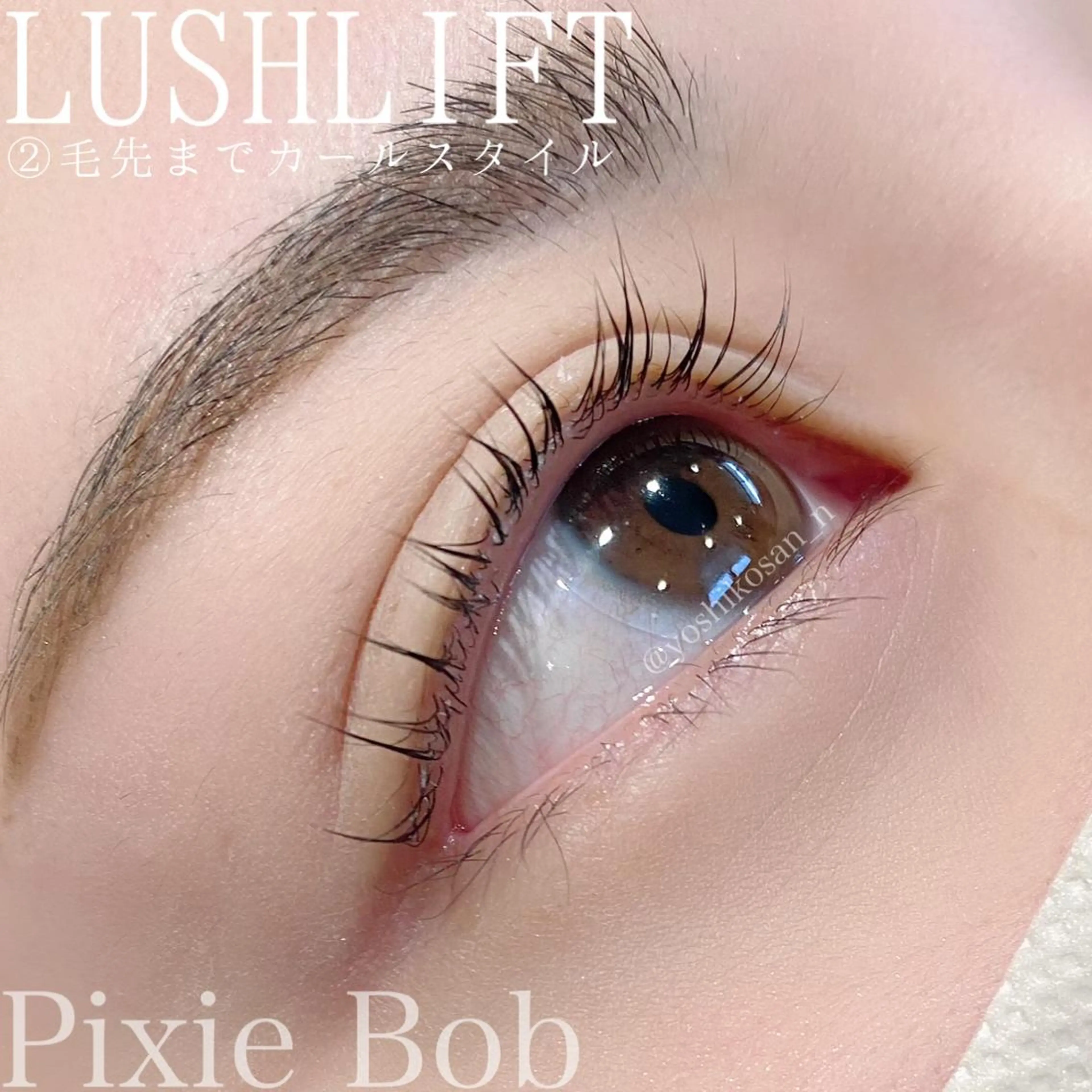 マツエク・マツパ Pixie Bob 🐈‍⬛　位田のマツエク・マツパデザイン