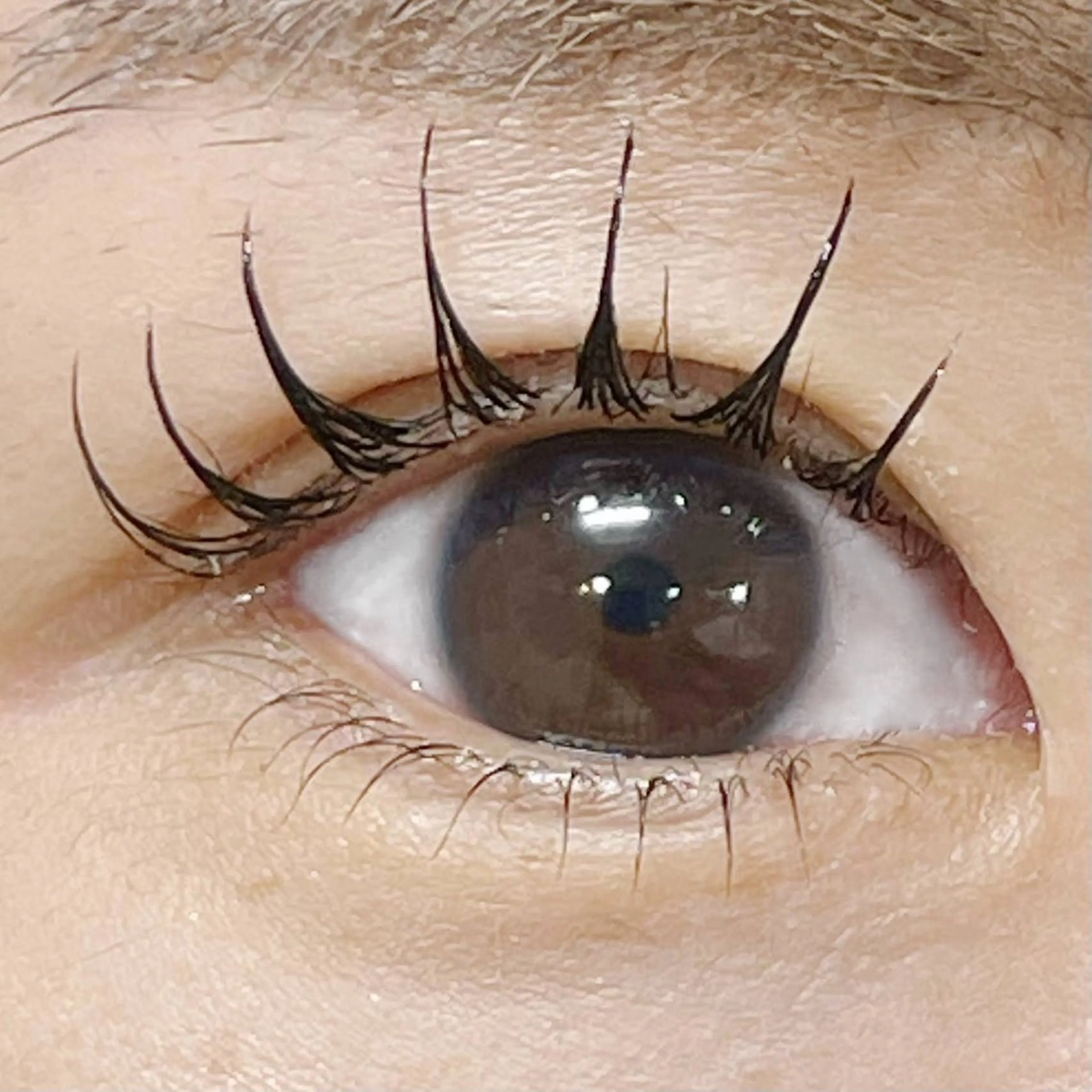 マツエク・マツパ フラットラッシュ まつげパーマ 下まつげエクステ NANA Milano所属・yuuka Fのマツエク・マツパデザイン