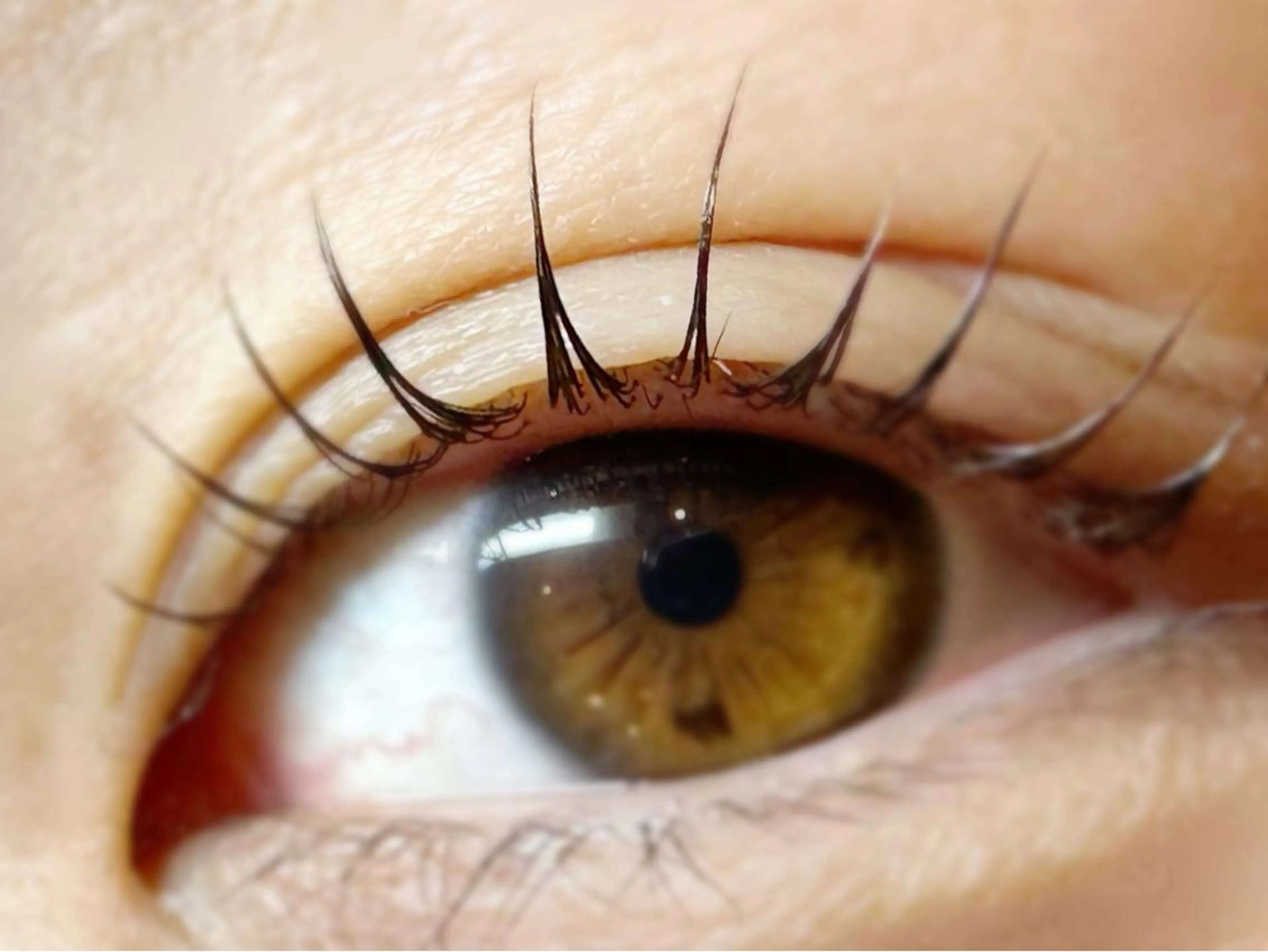 マツエク・マツパ komatsu eyelash恵比寿のマツエク・マツパデザイン