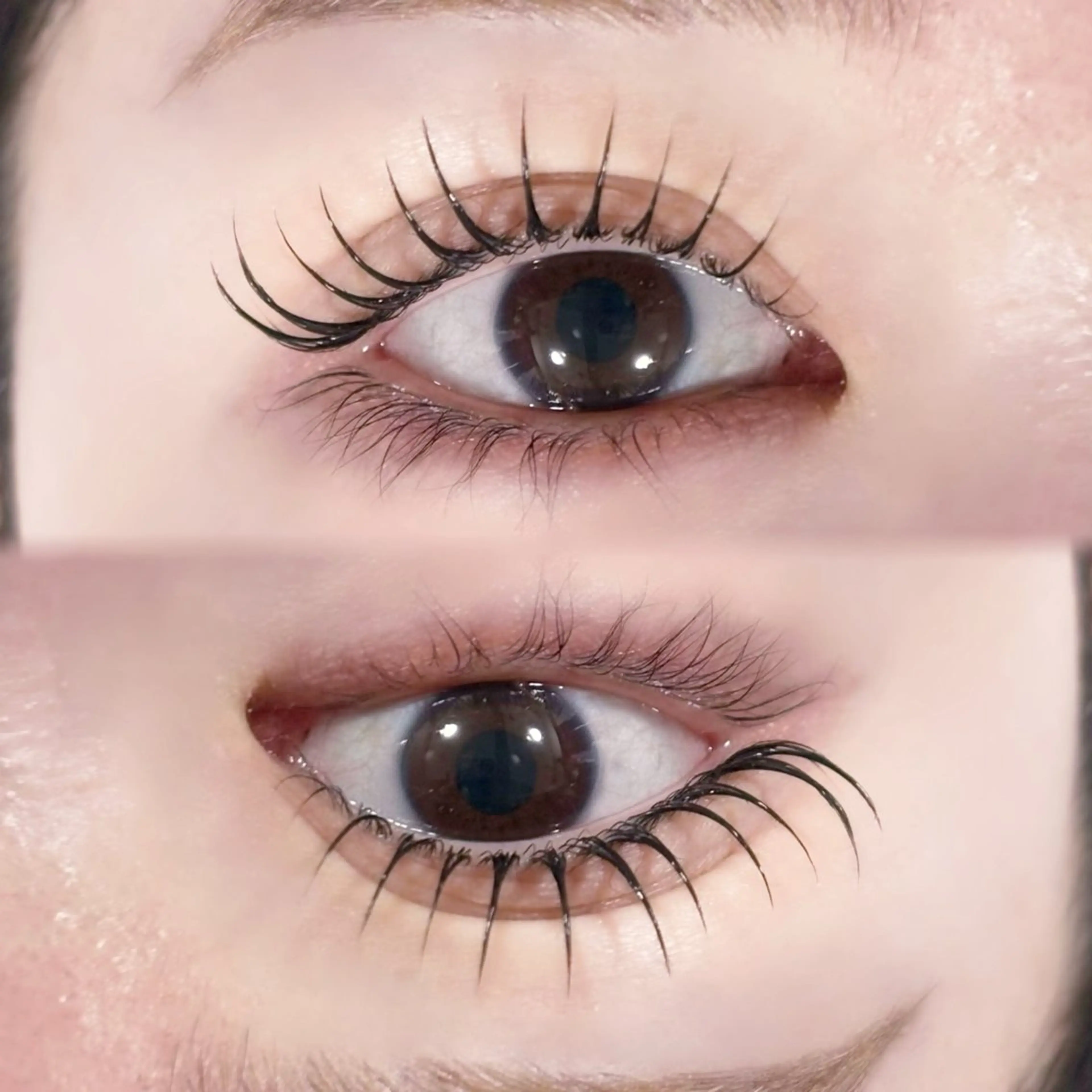 マツエク・マツパ マツパ マリーテレジア ogataのマツエク・マツパデザイン