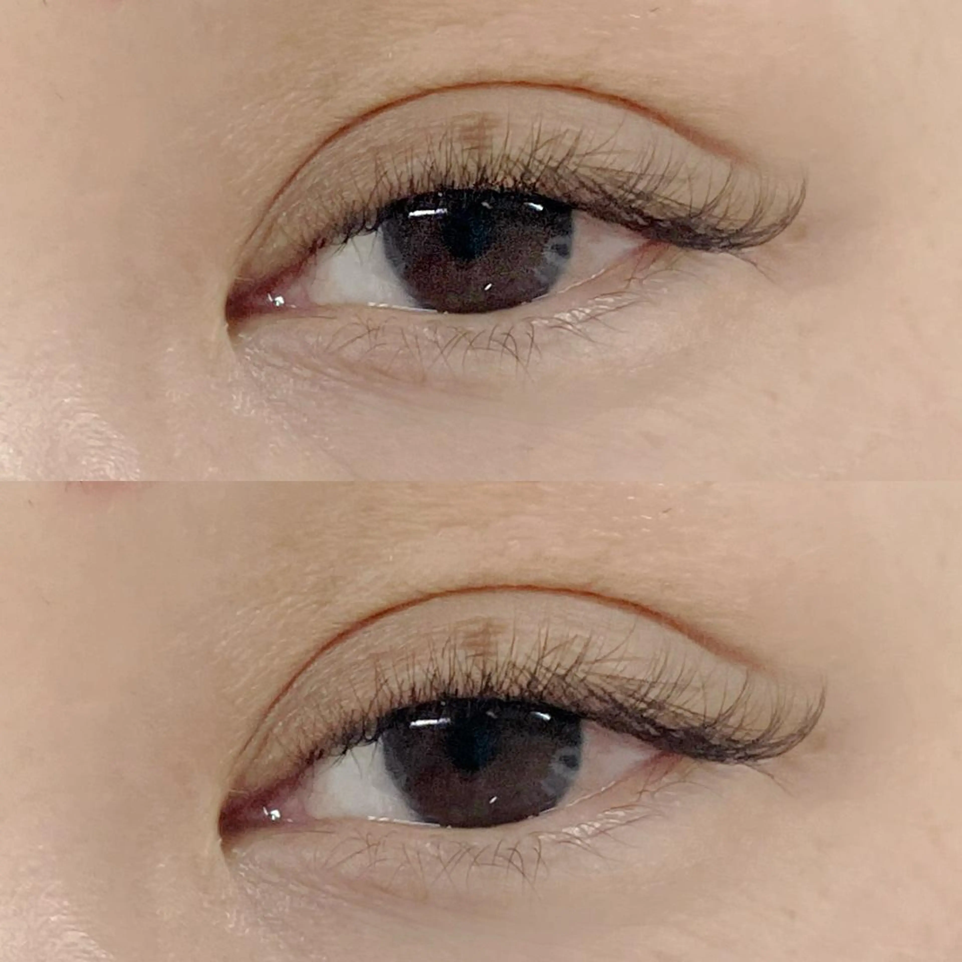 マツエク・マツパ Dカール ボリュームラッシュ フジ ワラのマツエク・マツパデザイン