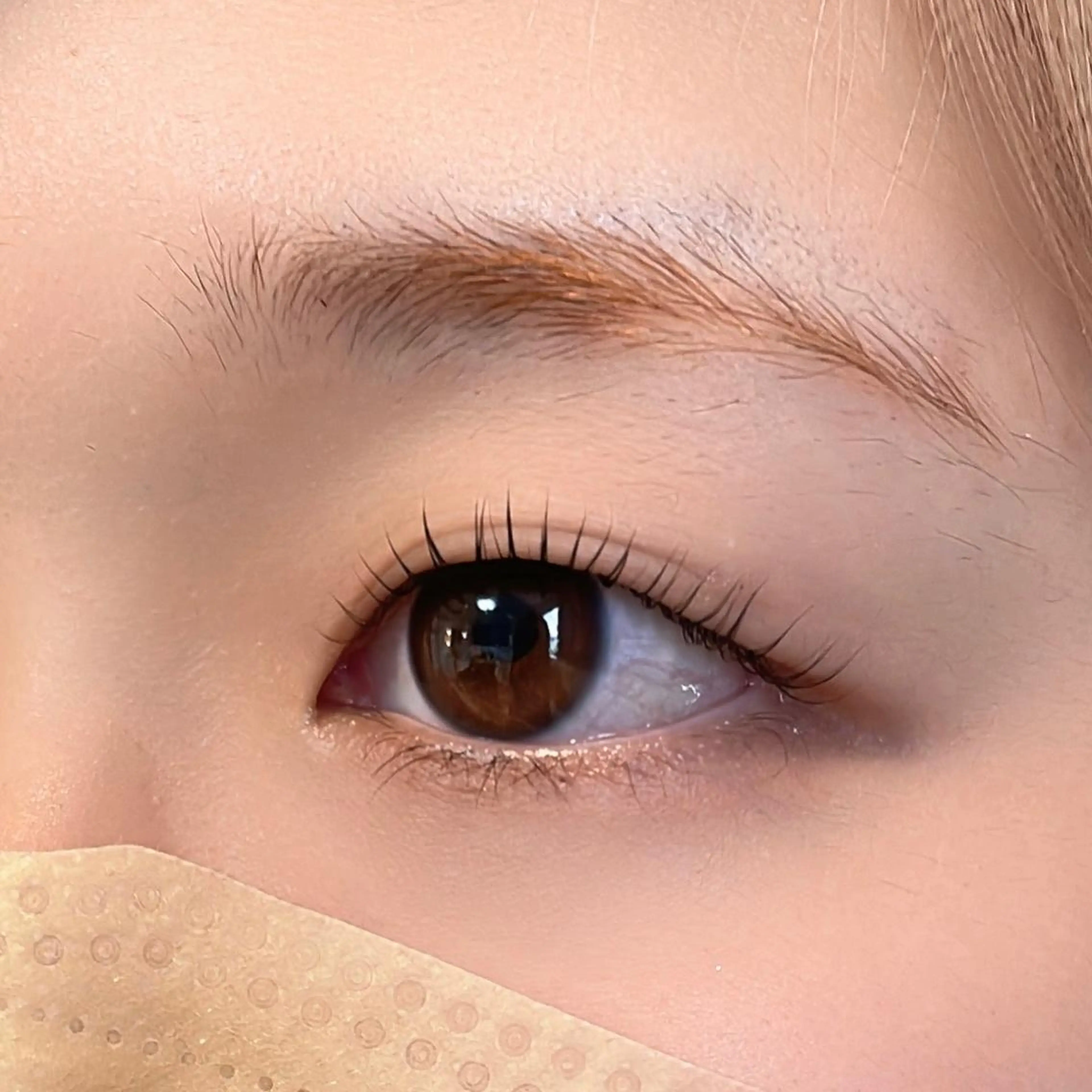 マツエク・マツパ 一重×まつ毛パーマ マツパ 井林 悠のマツエク・マツパデザイン