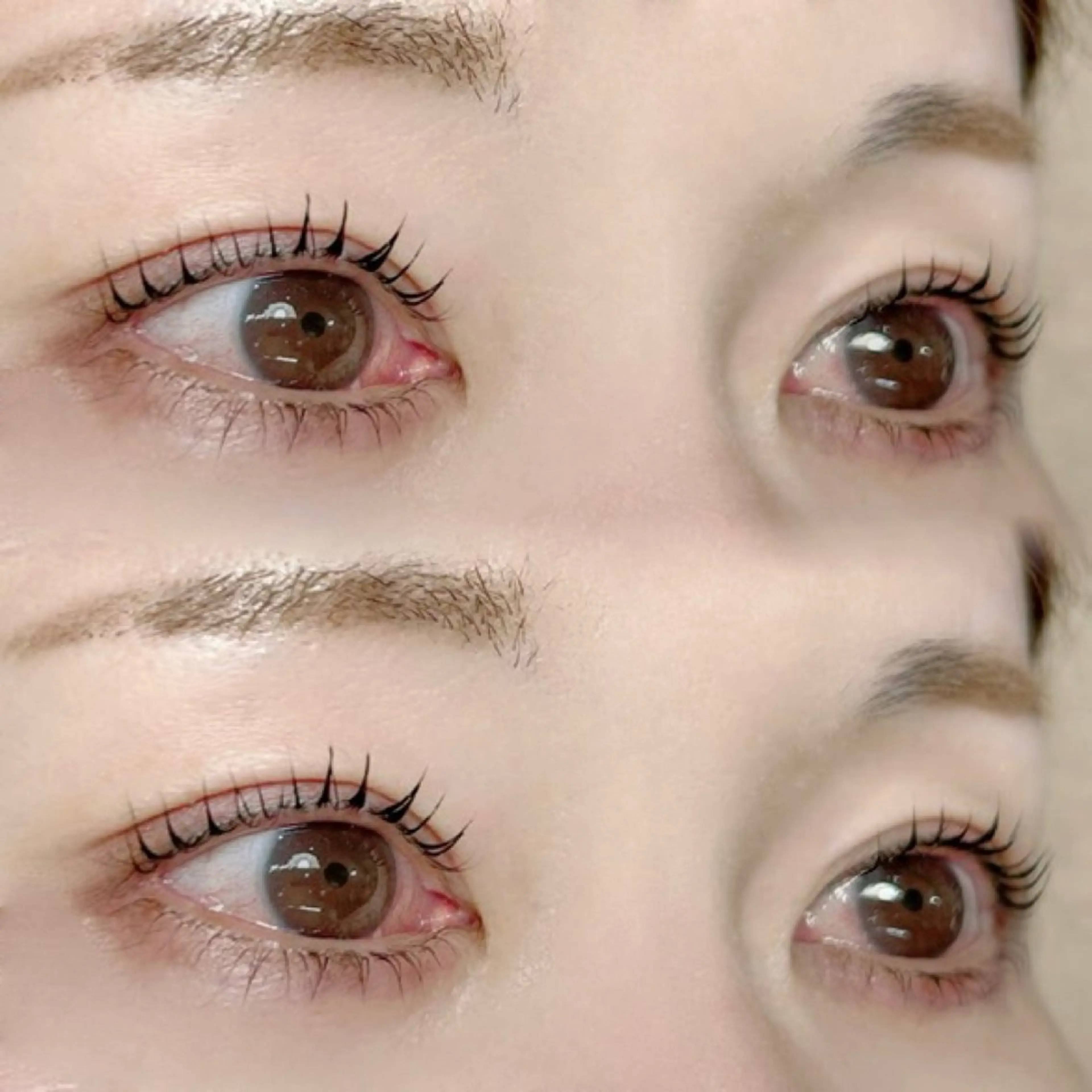 12月末まで限定価格🩵まつげパーマ🩵🌟の写真