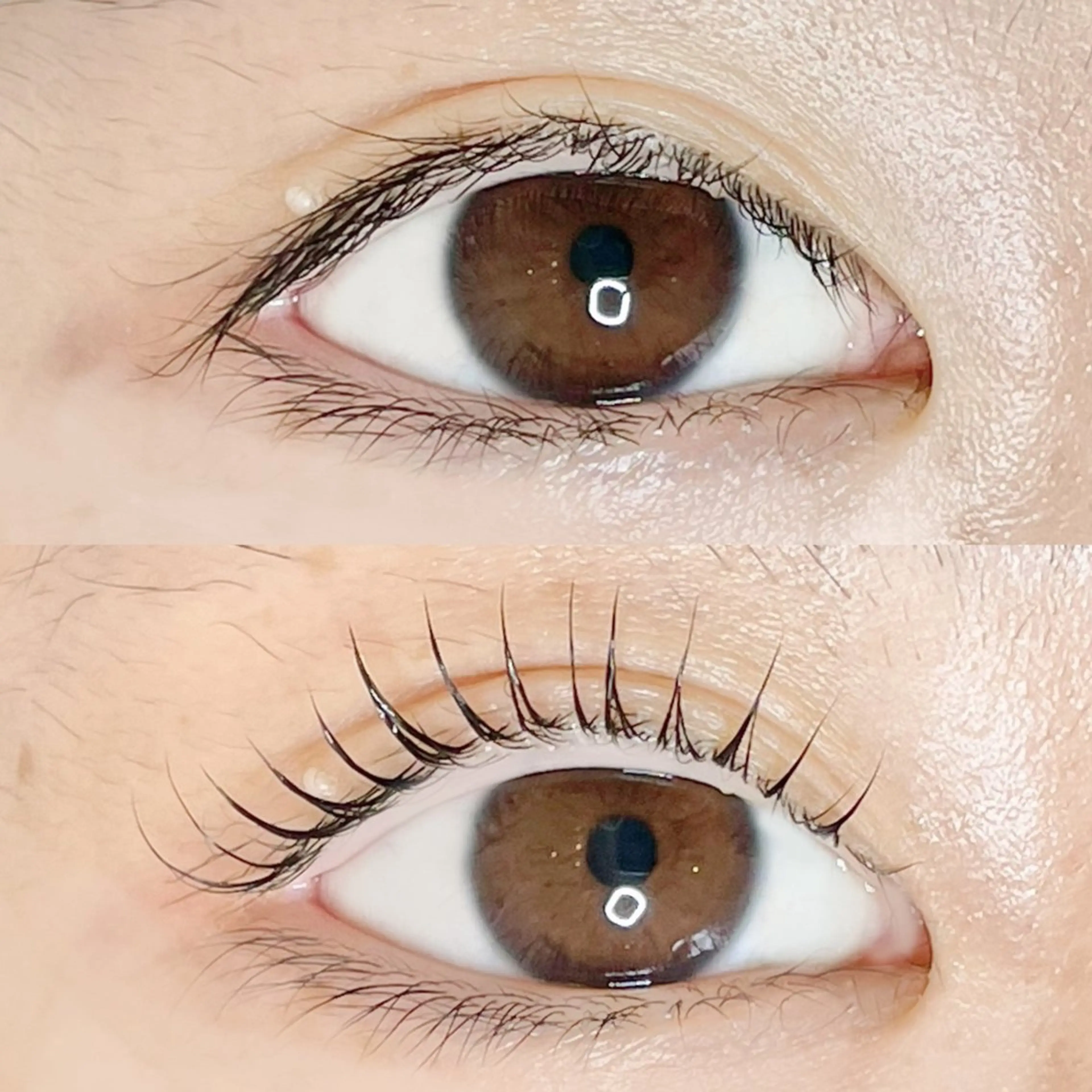 マツエク・マツパ マツパ AYLASH🧡 猪又のマツエク・マツパデザイン