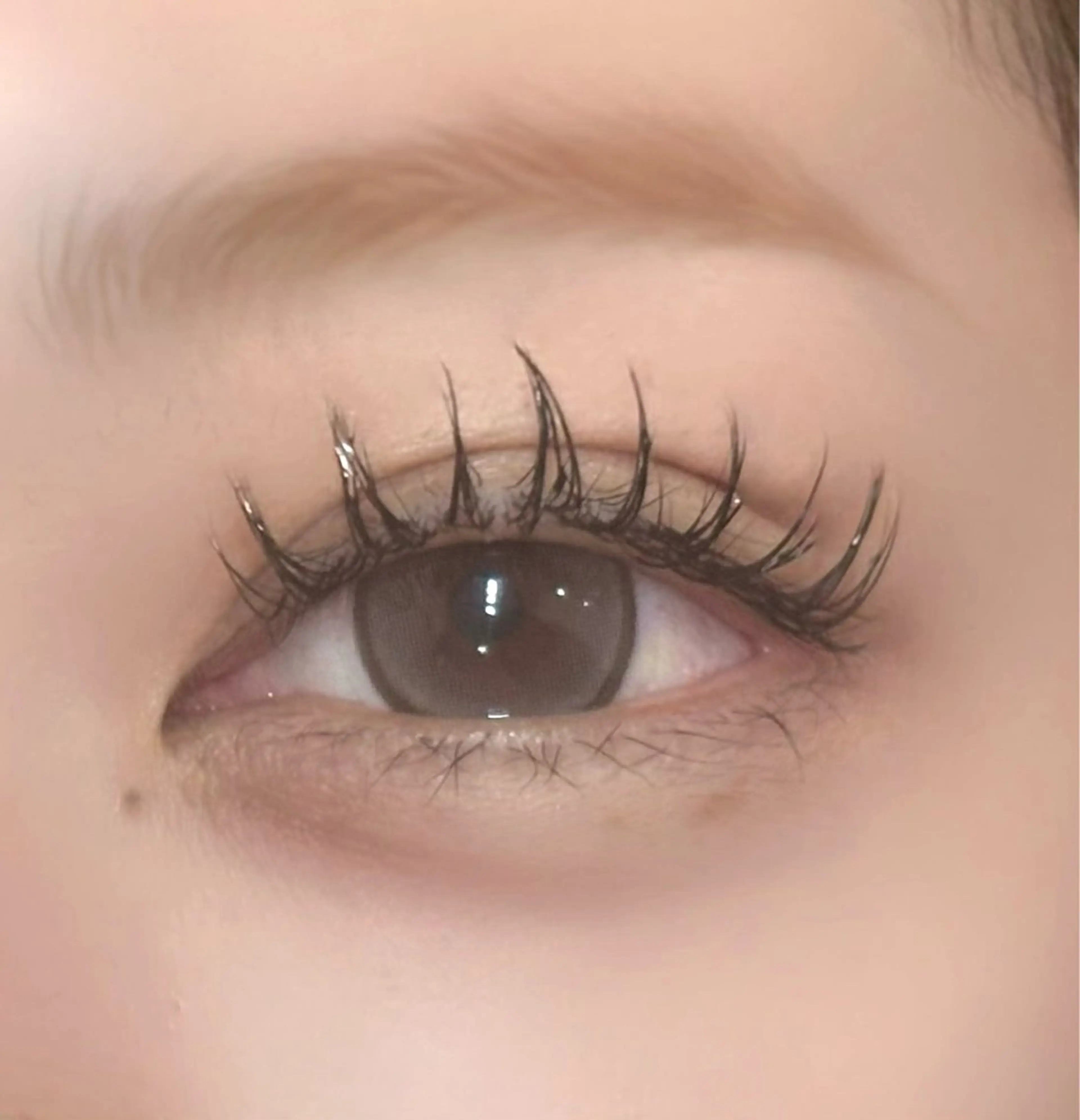 ✨トリートメント&コーティング付き✨シングルラッシュ上120本の写真