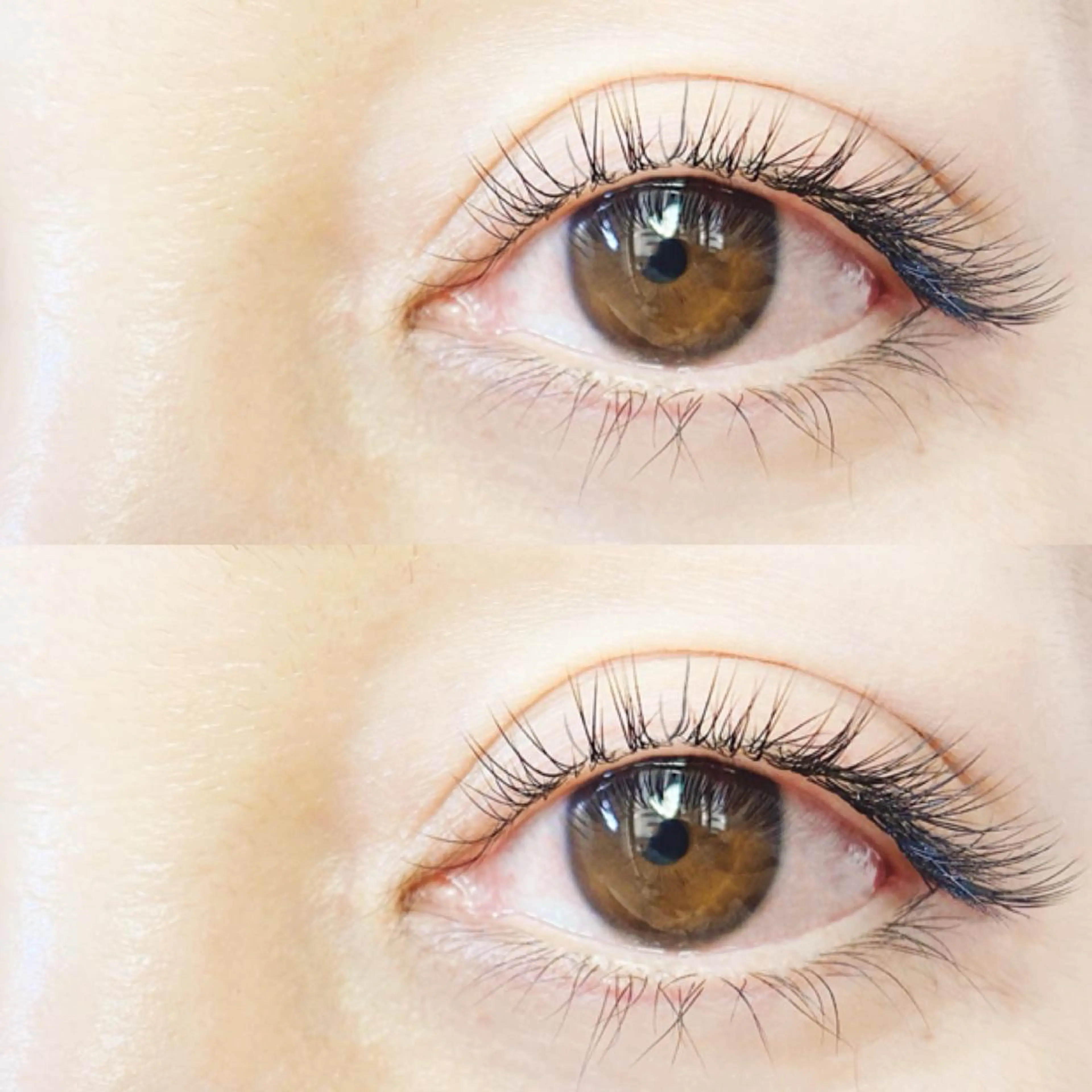 マツエク・マツパ マツエク oma 🕊MISAKIのマツエク・マツパデザイン