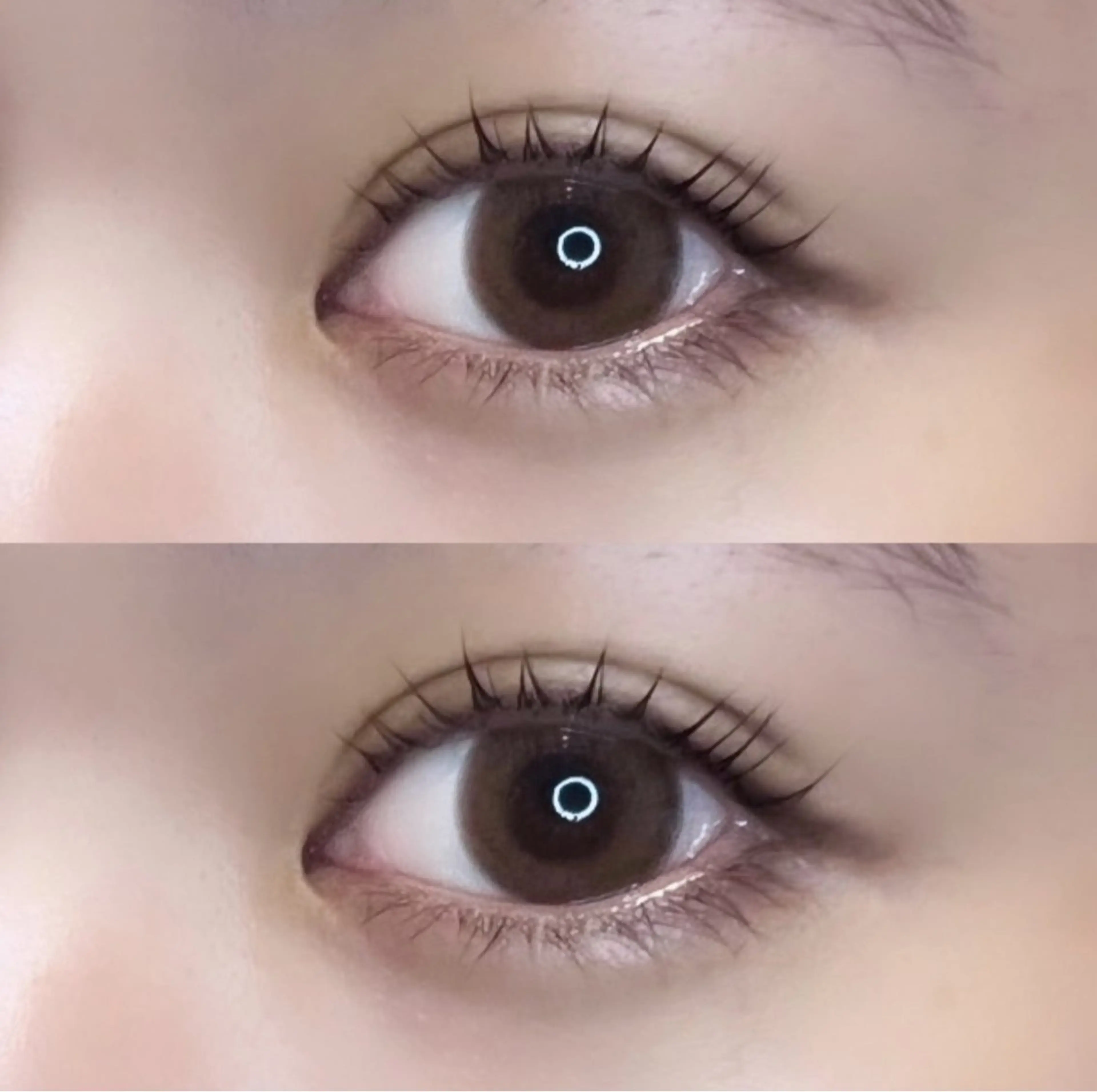 【minimo価格】🌟人気No.1🌟パリジェンヌラッシュリフト＋コーティング付✨️の写真