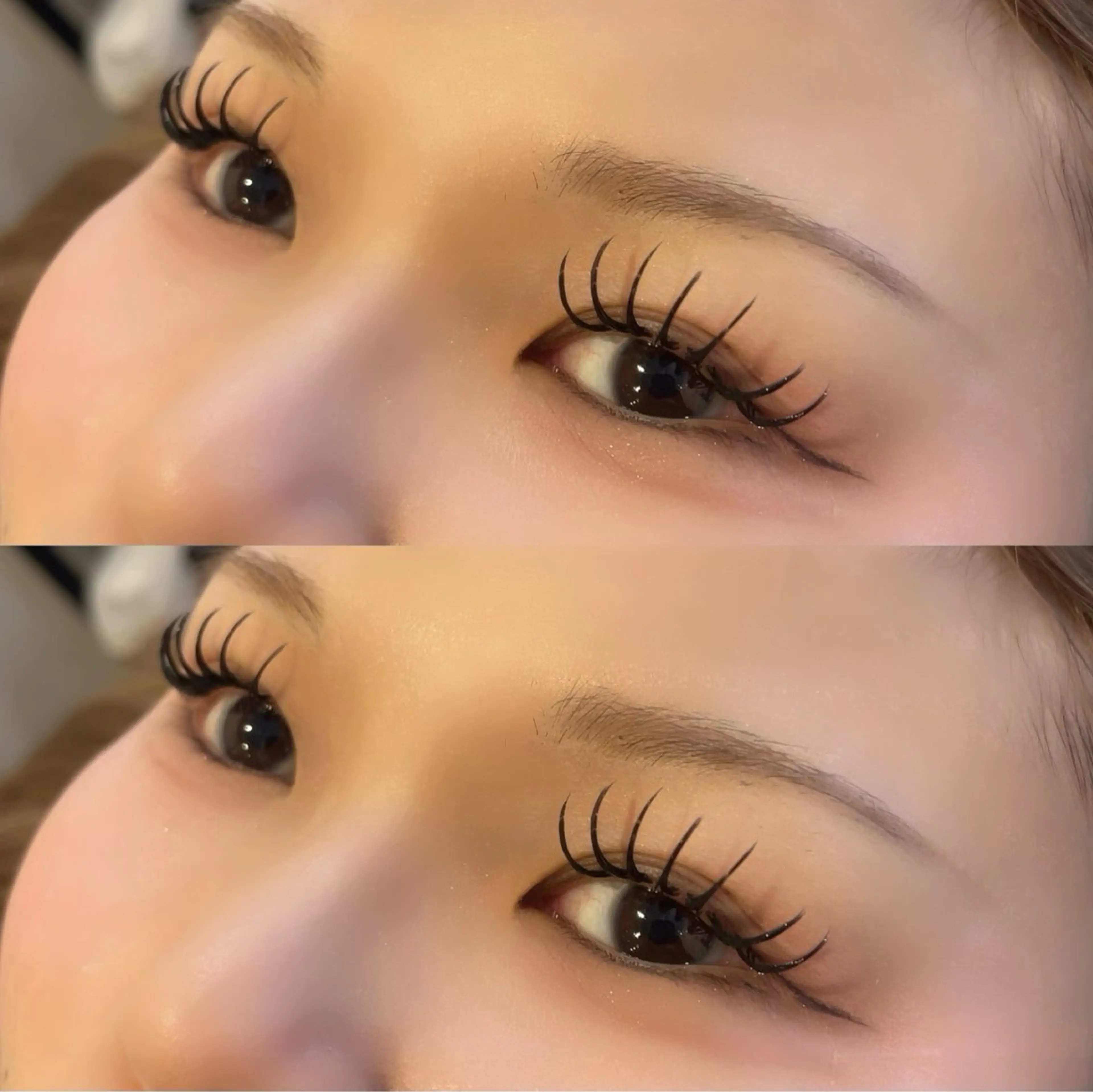 🩶最新技術🩶&healthyフラットラッシ120本アイシャンプー付の写真