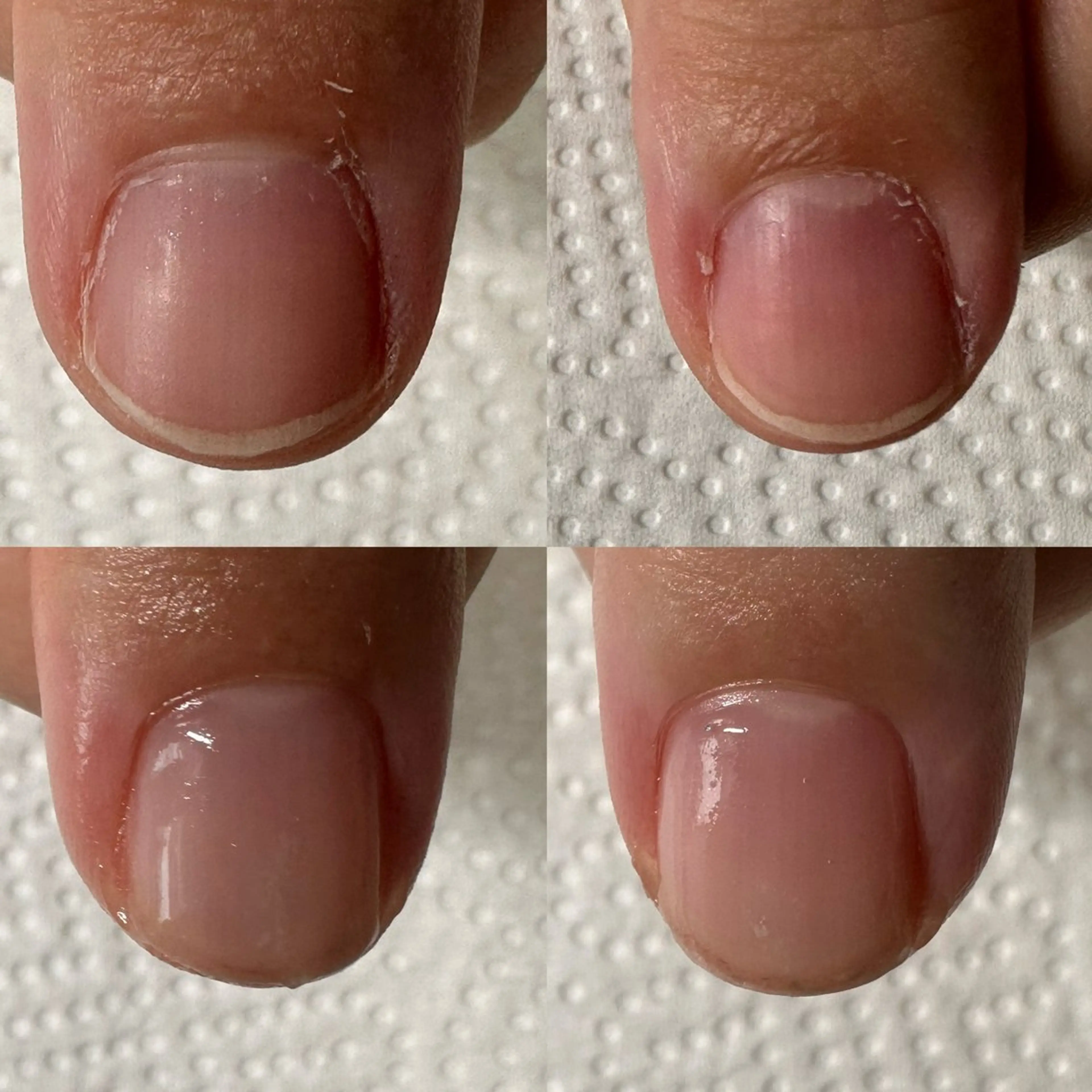 ネイル ネイルケアサロン Campanulaのネイルデザイン