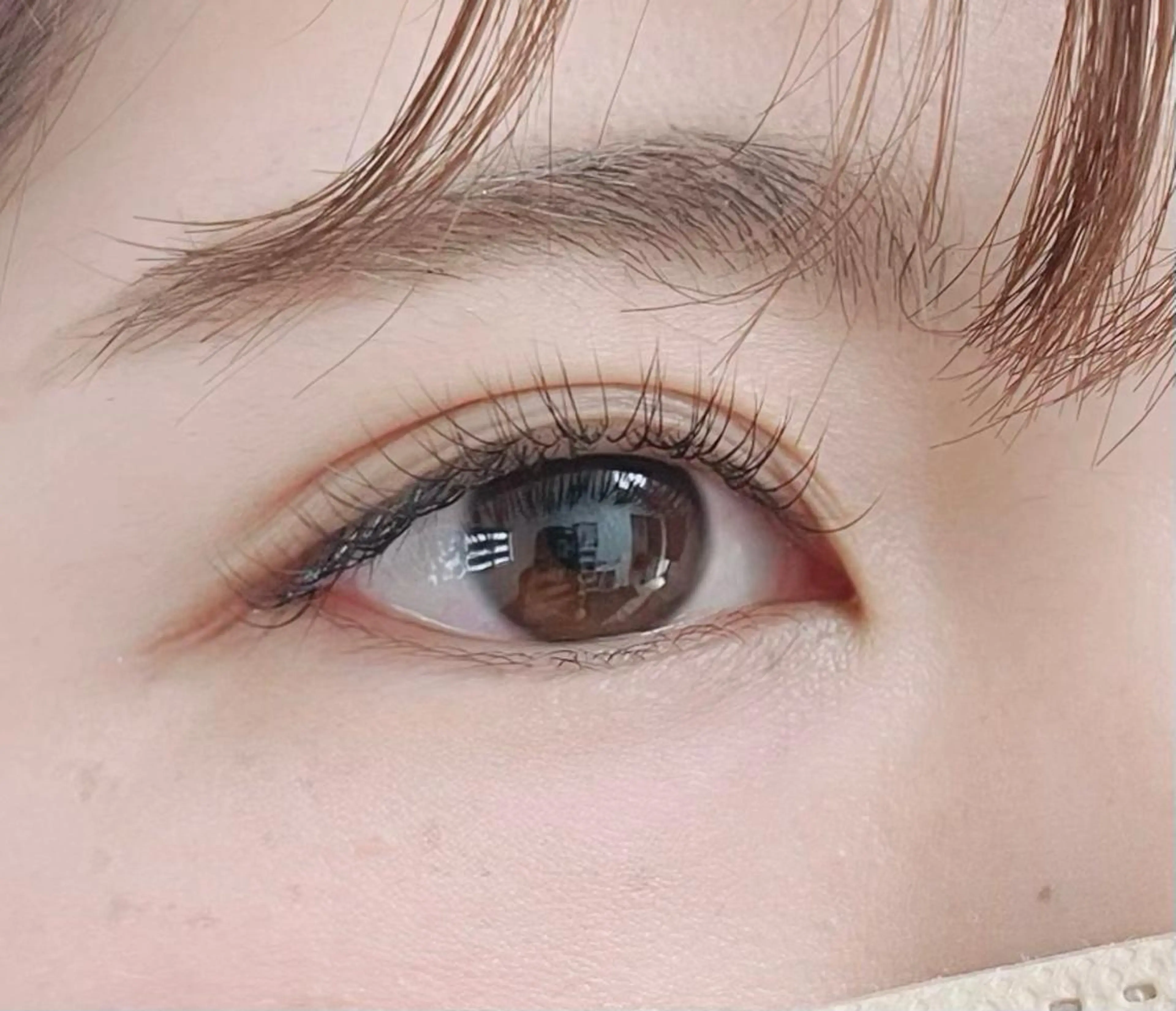 シングルラッシュ（J.Cカール）（100本まで）の写真