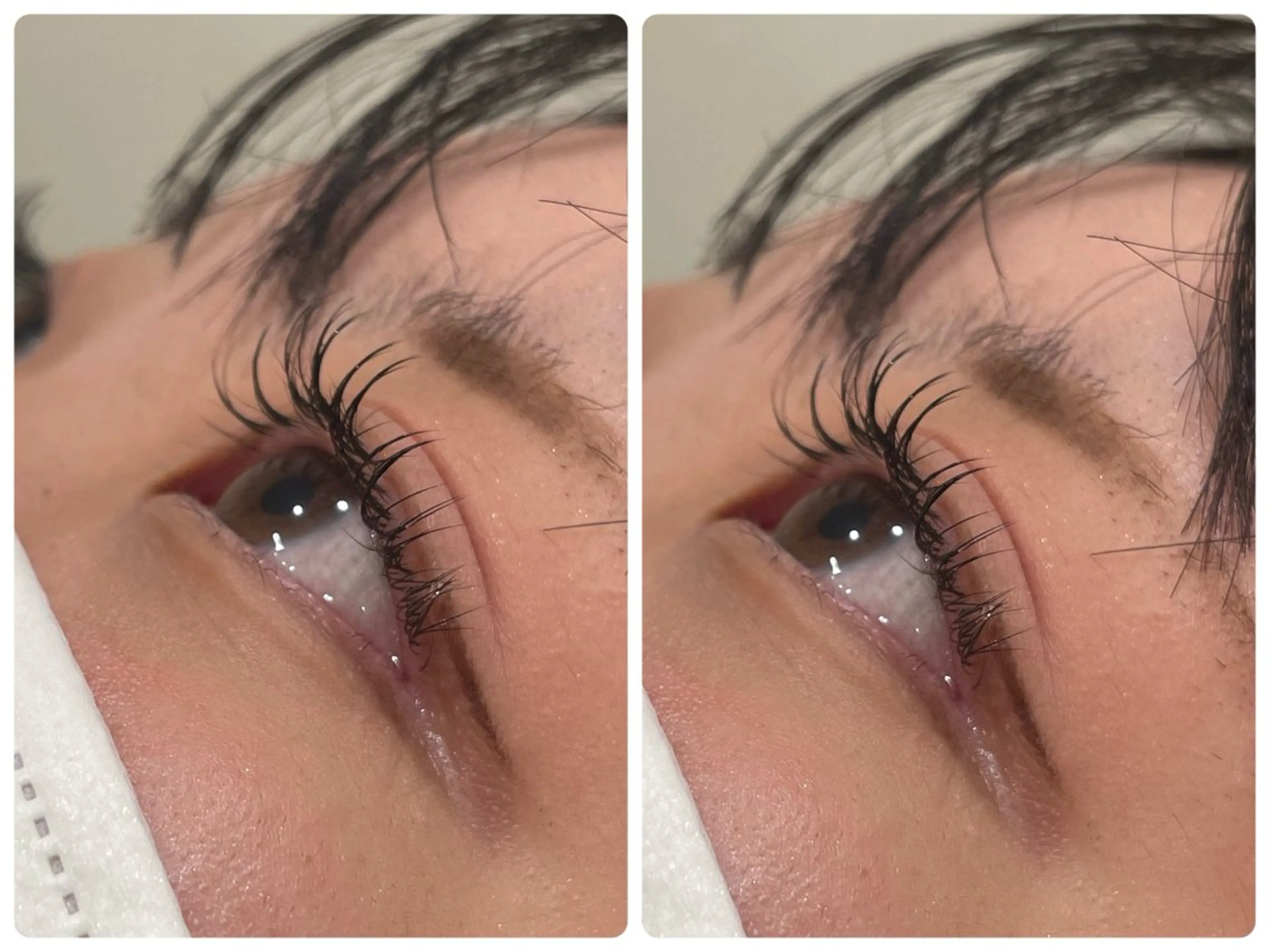 🏷｜再来の方はこちら！！{マツエク100本🩶}の写真