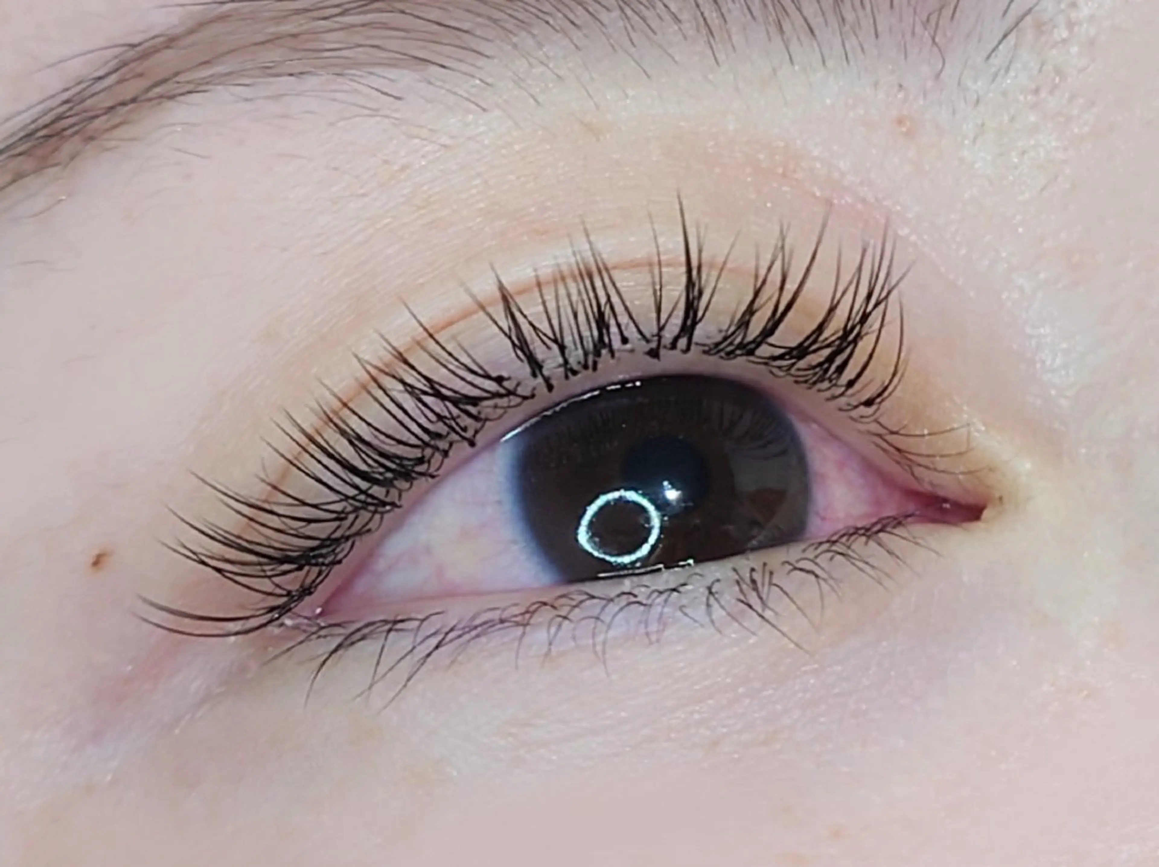 マツエク・マツパ フラットラッシュ Jカール ナチュラル マツエク joie ange 難波店　斎藤のマツエク・マツパデザイン