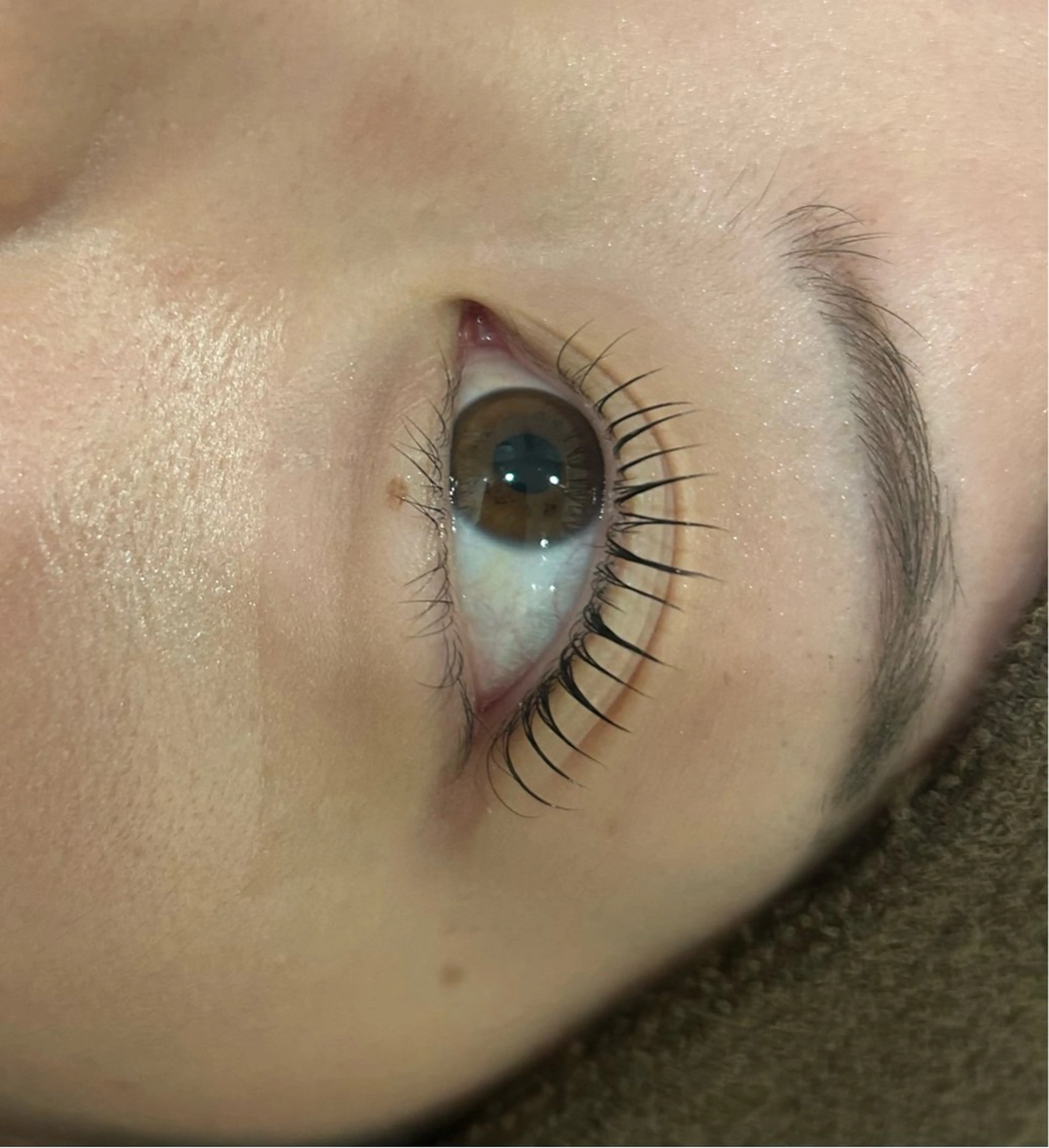 学割まつ毛パーマです✨の写真