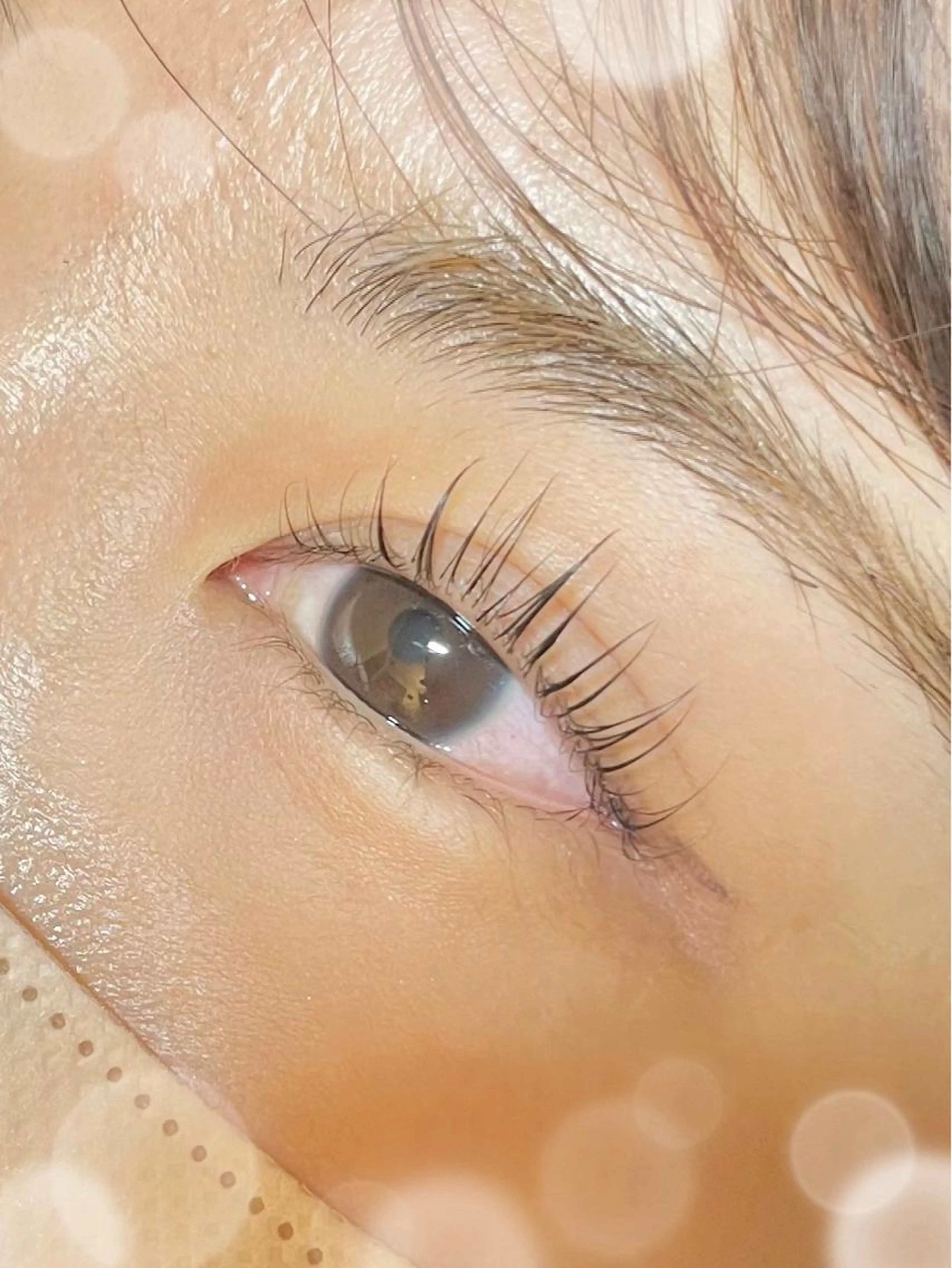 〖学生＆平日限定 〗パリジェンヌラッシュリフトᝰ✍︎꙳⋆の写真