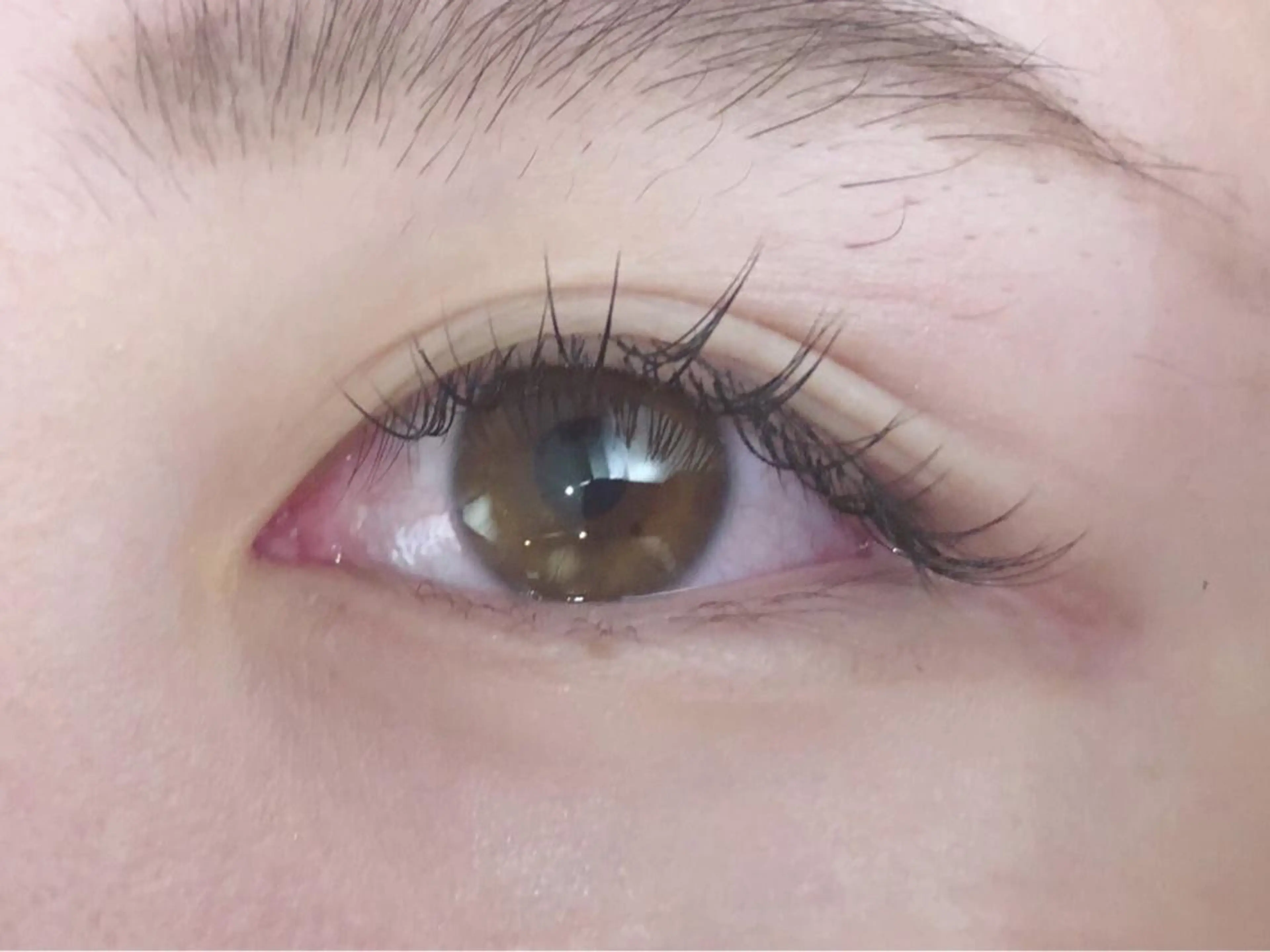 100本まで付け放題(オフ込み)の写真