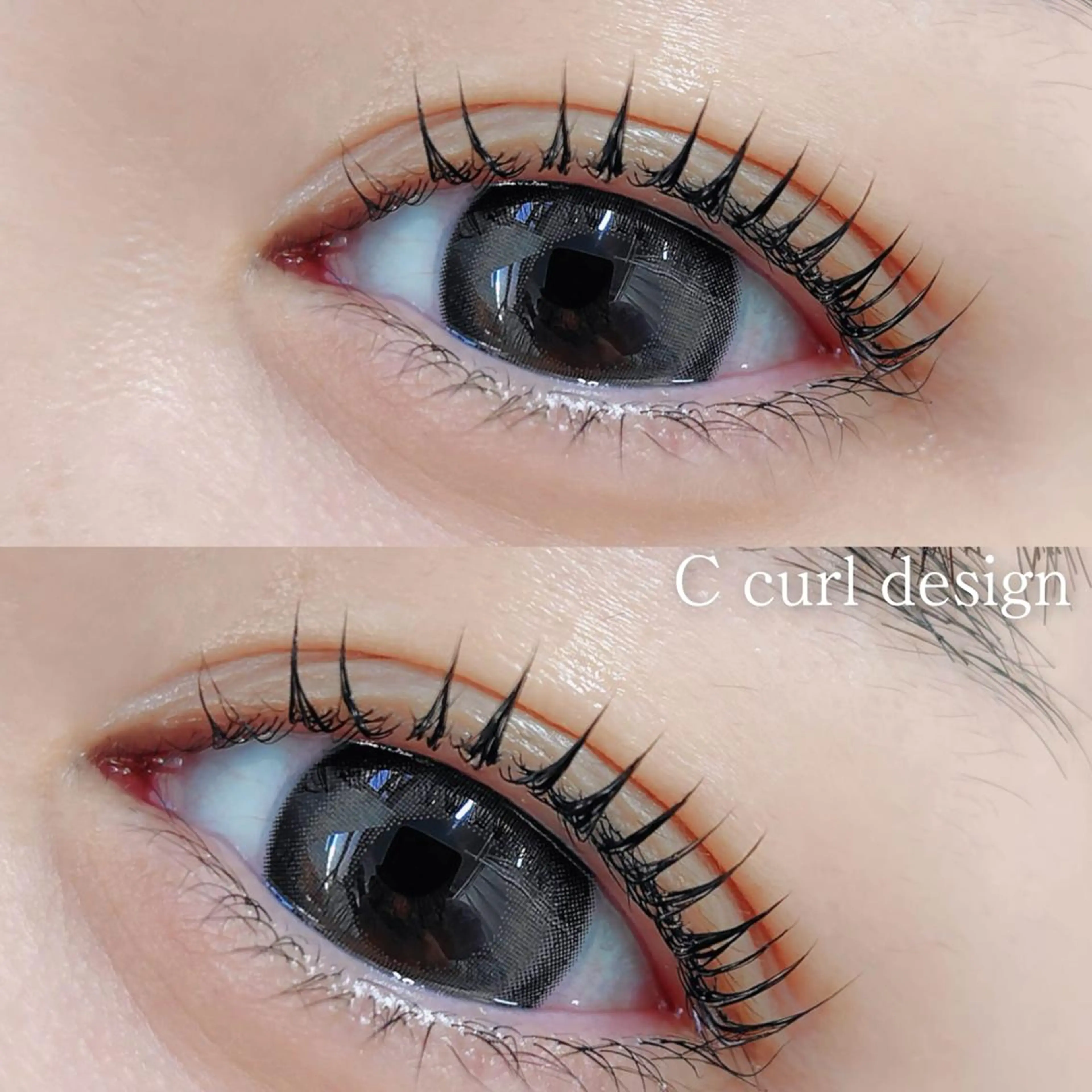 マツエク・マツパ Cカール まつげパーマ専門店 シャルナ 上野店のマツエク・マツパデザイン