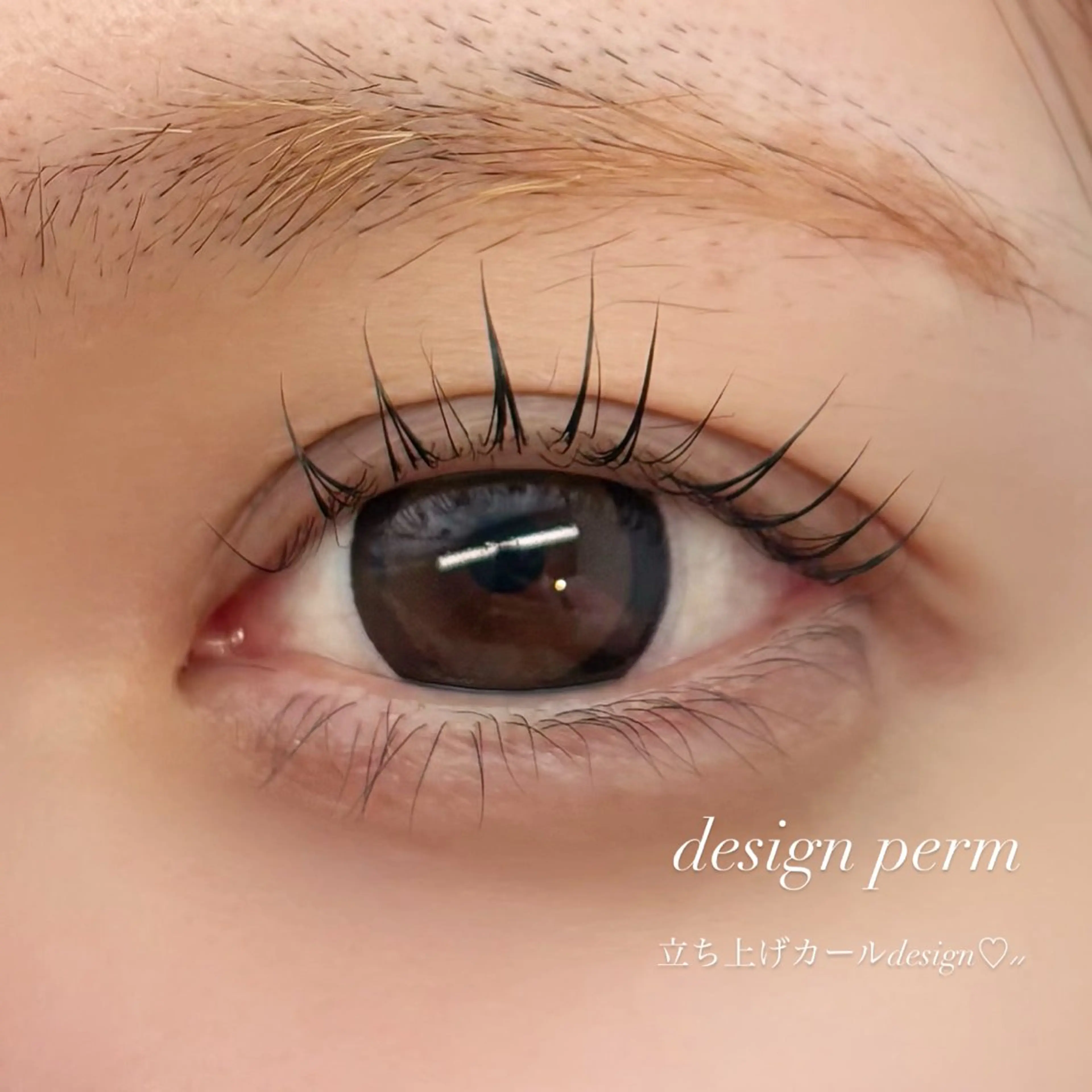 マツエク・マツパ rina /大阪 まつ毛パーマの眉毛・アイブロウイメージ