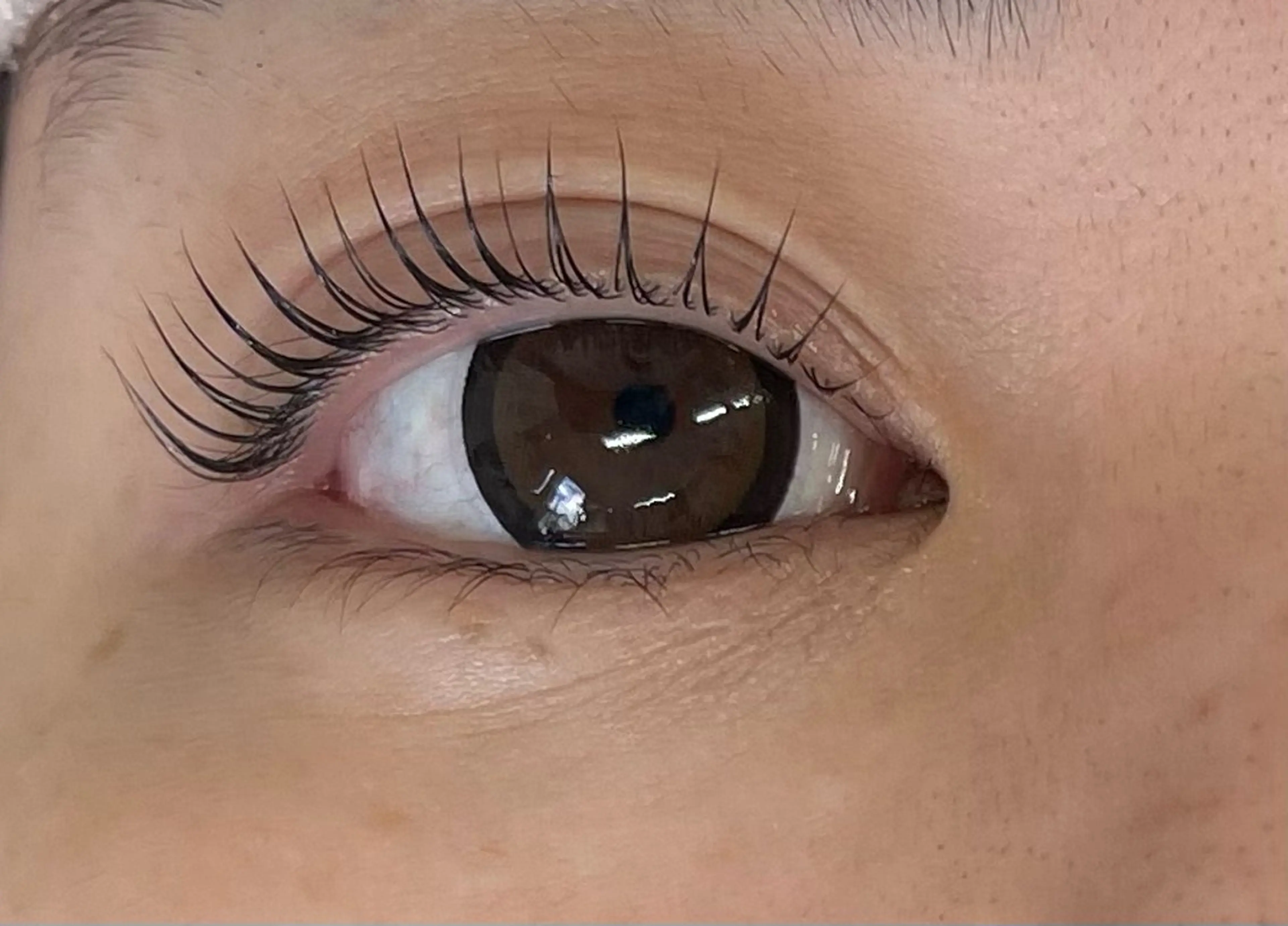 🌼リピーター様🌼パリジェンヌラッシュリフト束間仕上げ♪の写真