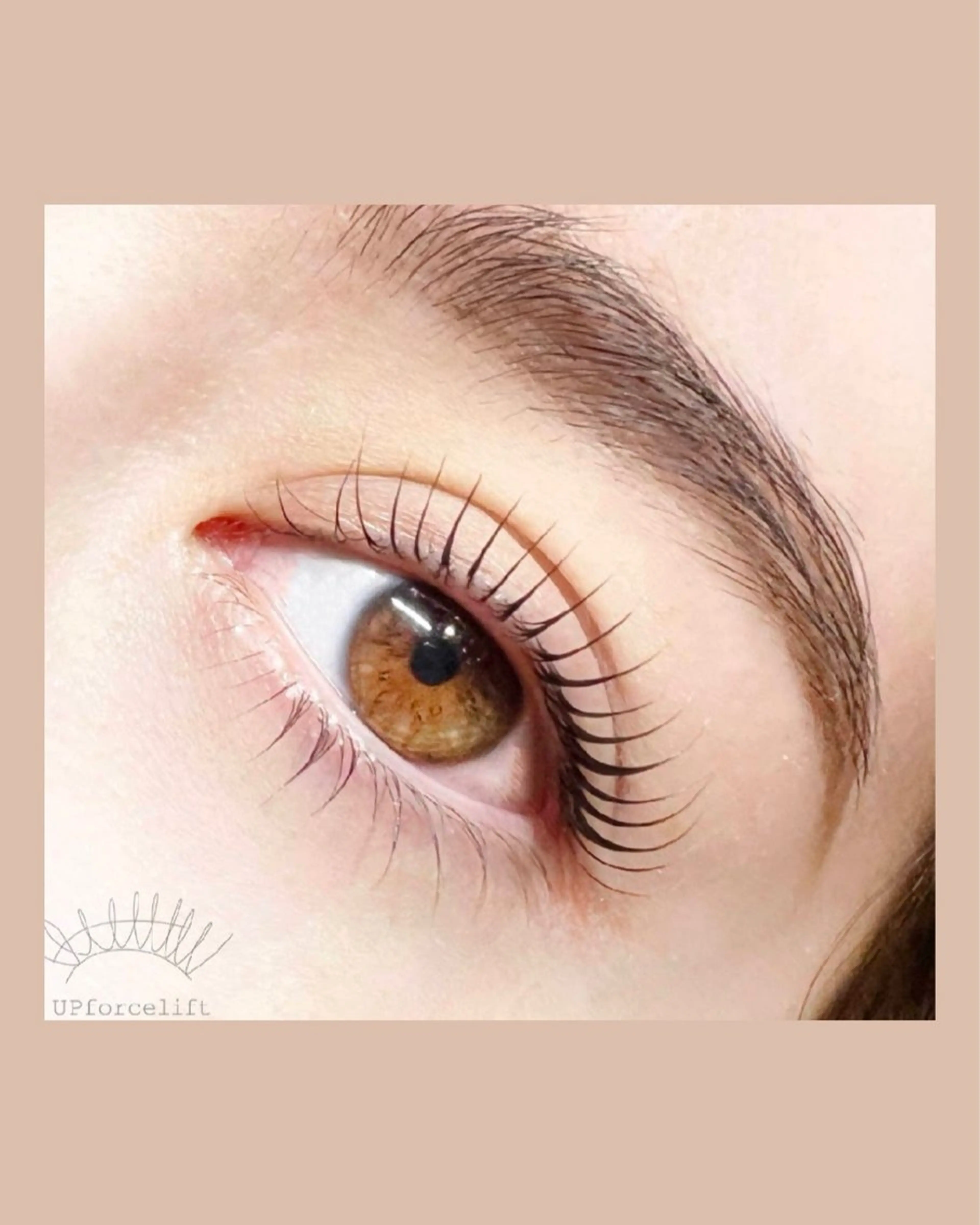 学生さま限定🍋次世代まつげパーマ🍋持続性+安全性◎な【アップフォースリフト】美容液コーティング仕上げ♡の写真