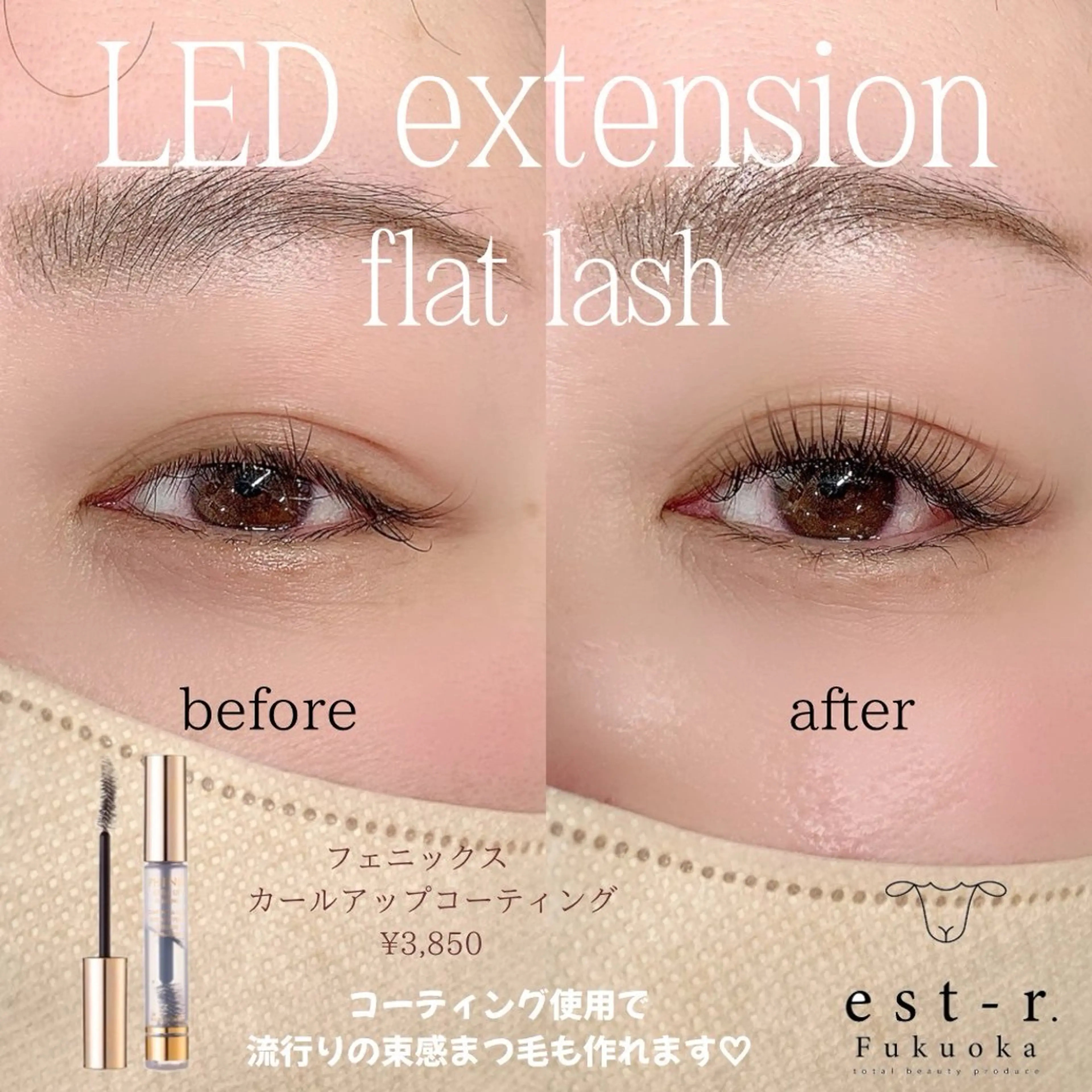 【12/21~12/28限定՞･֊･՞】  LEDマツエク80本🪶の写真