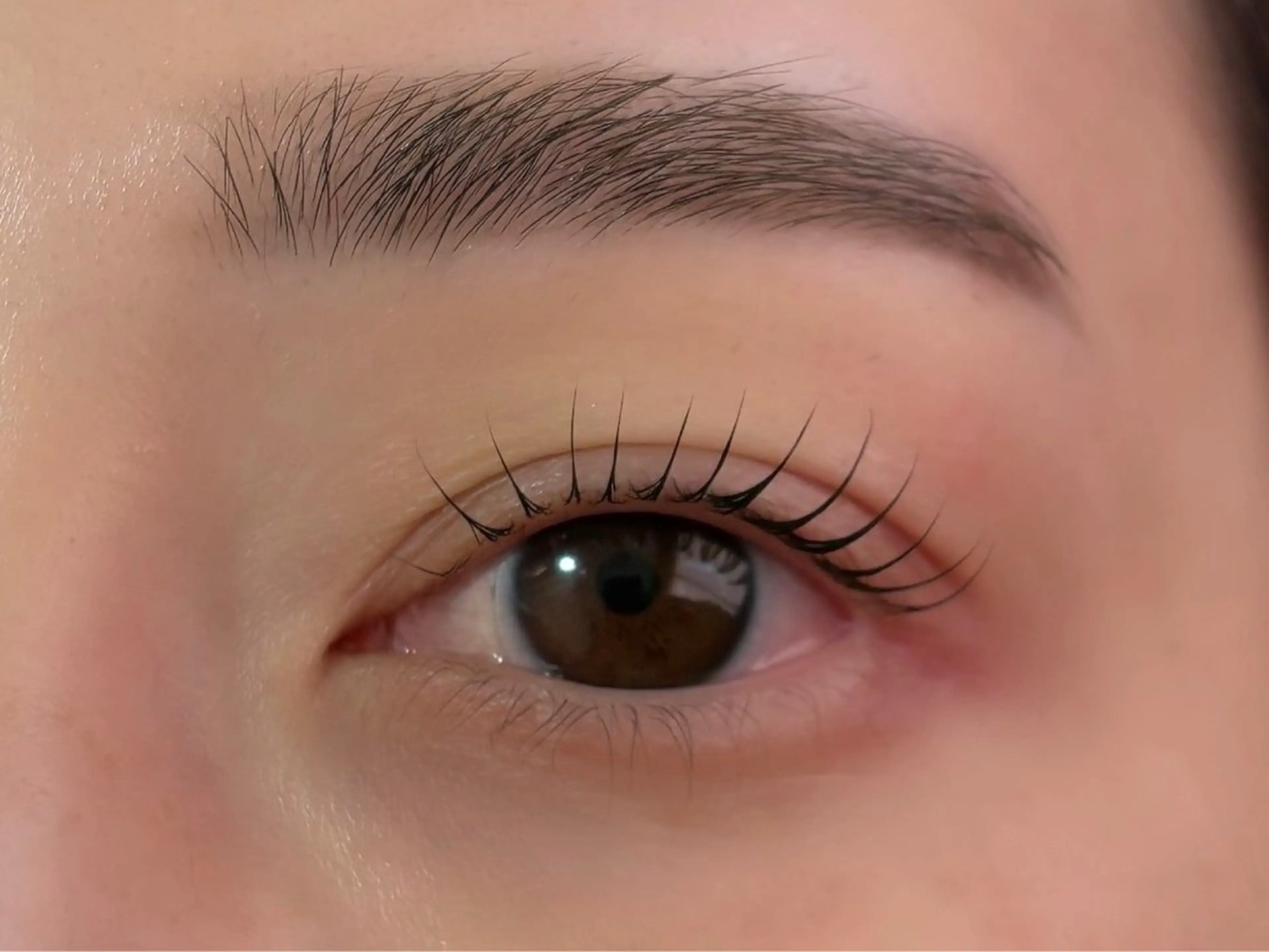 マツエク・マツパ ❣️高田馬場人気❣️ アイブロウワックスの眉毛・アイブロウイメージ