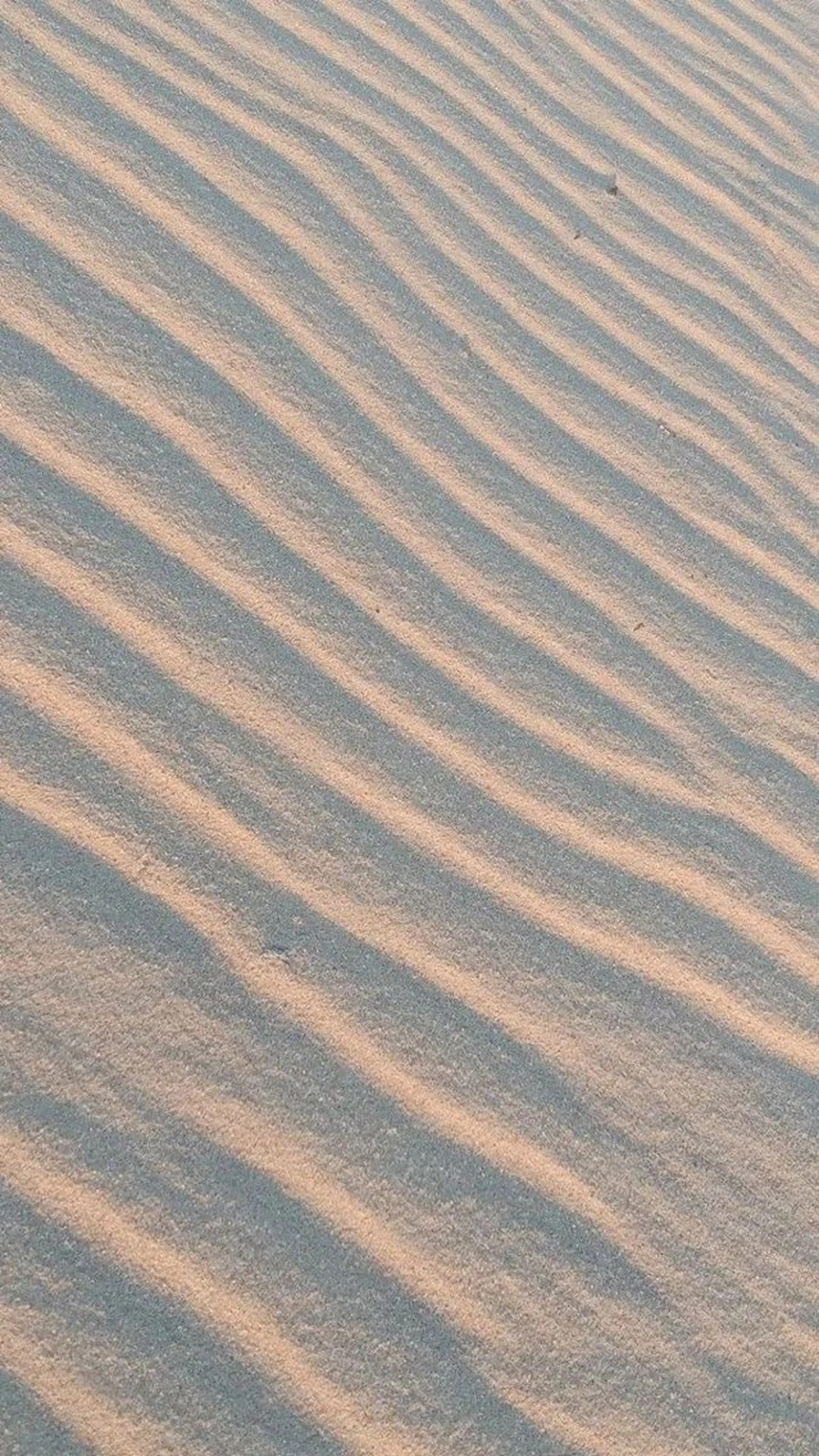 ∴Sanae. ∴ トータルビューティーのネイルデザイン