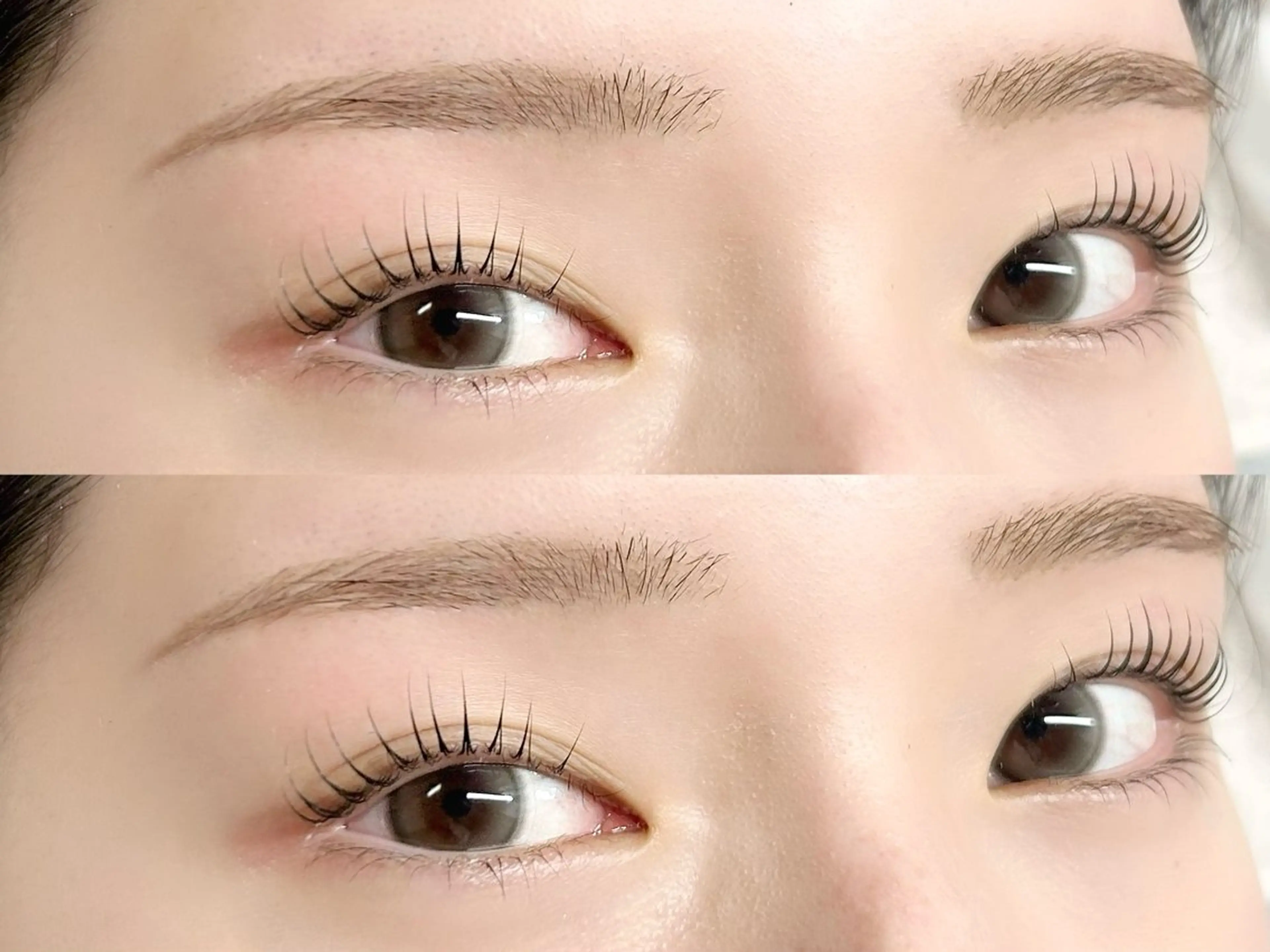 🤍眉スタイリング×まつ毛パーマ🤍の写真