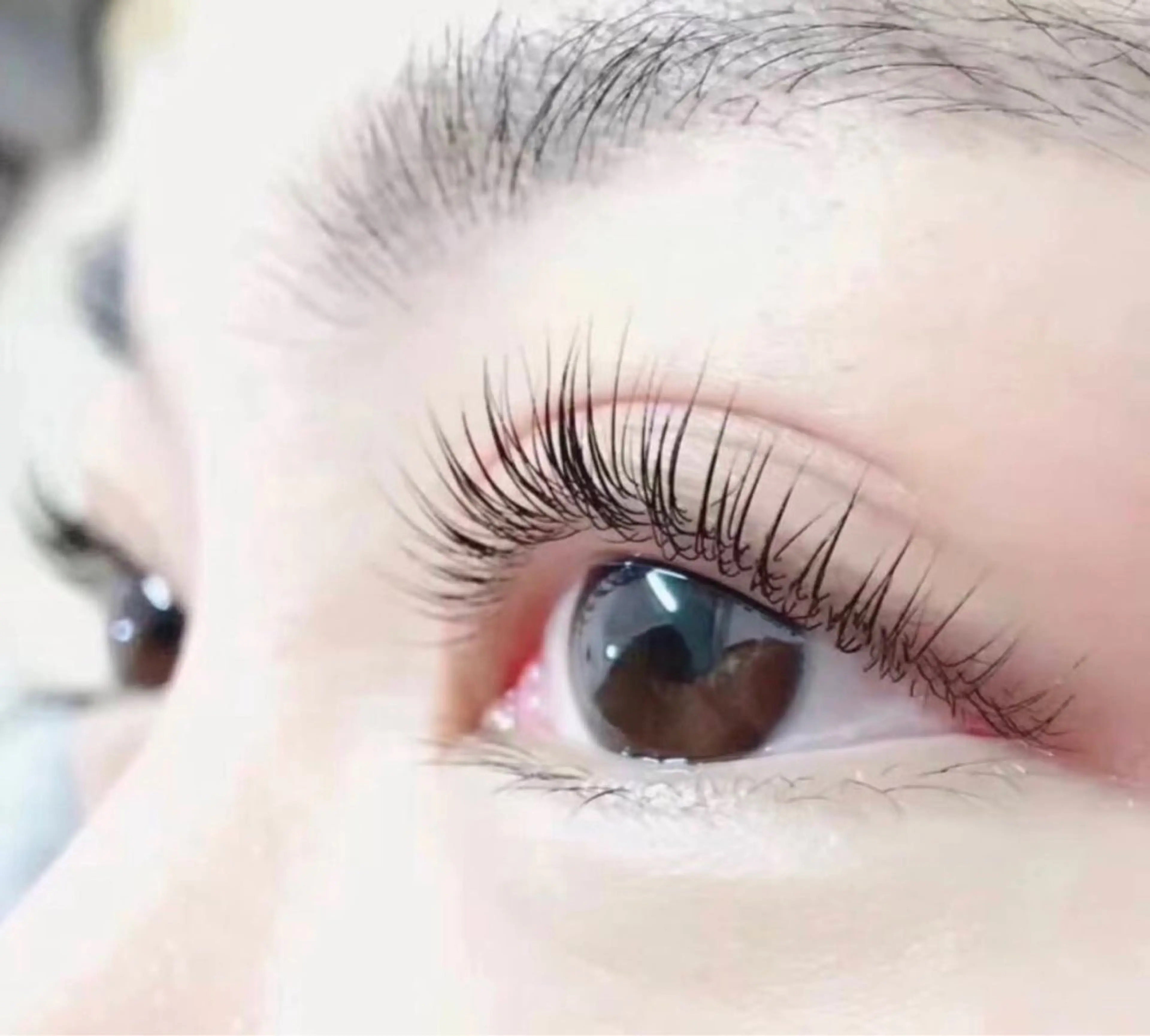 ご新規様限定！【セーブル100本¥4500】土日祝日/平日16時以降＋￥550の写真