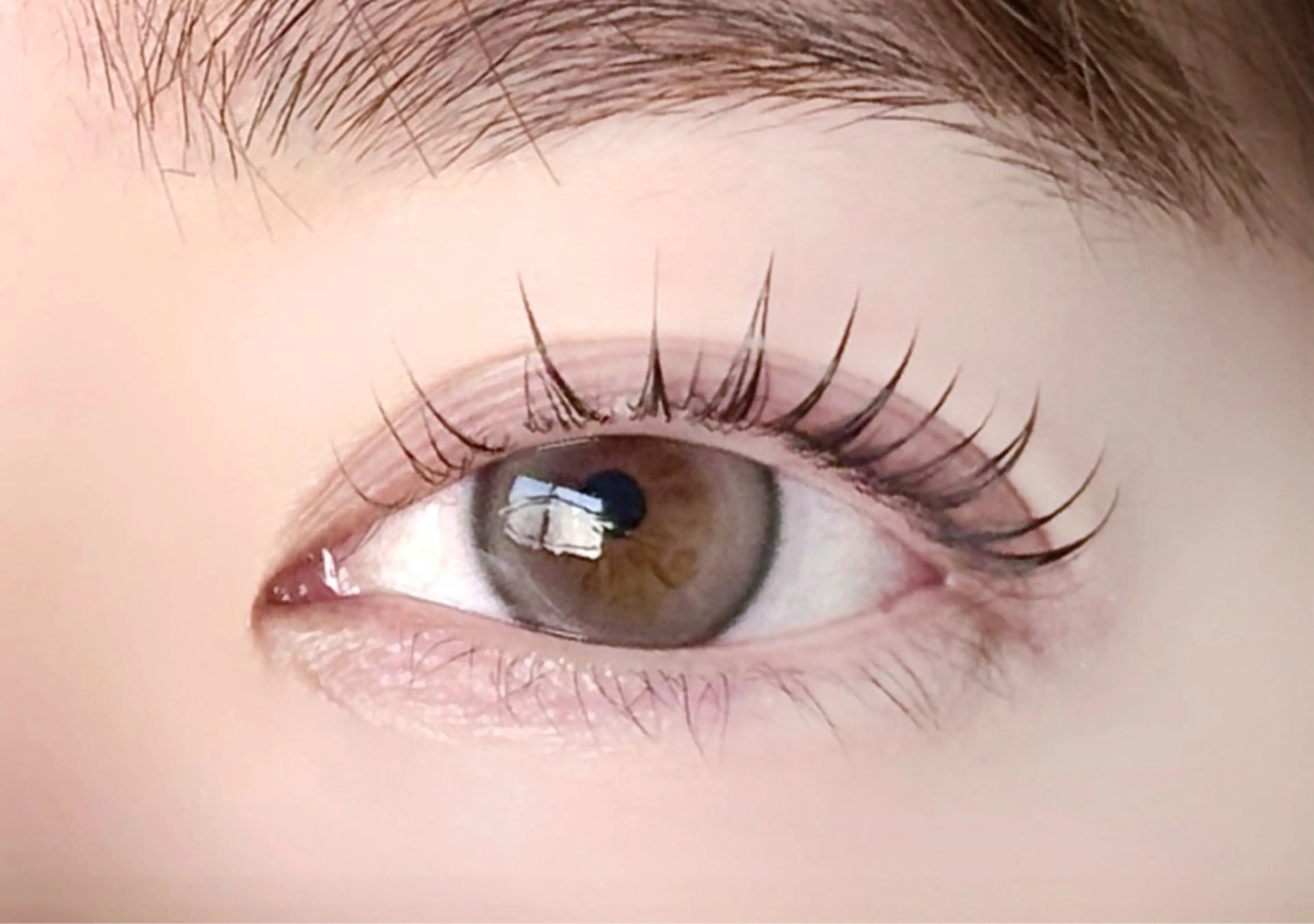 🌼ラッシュリフト💫アイシャンプー、トリートメント付き⭐️ 11:15​〜​予約リクエスト承り中です♪の写真