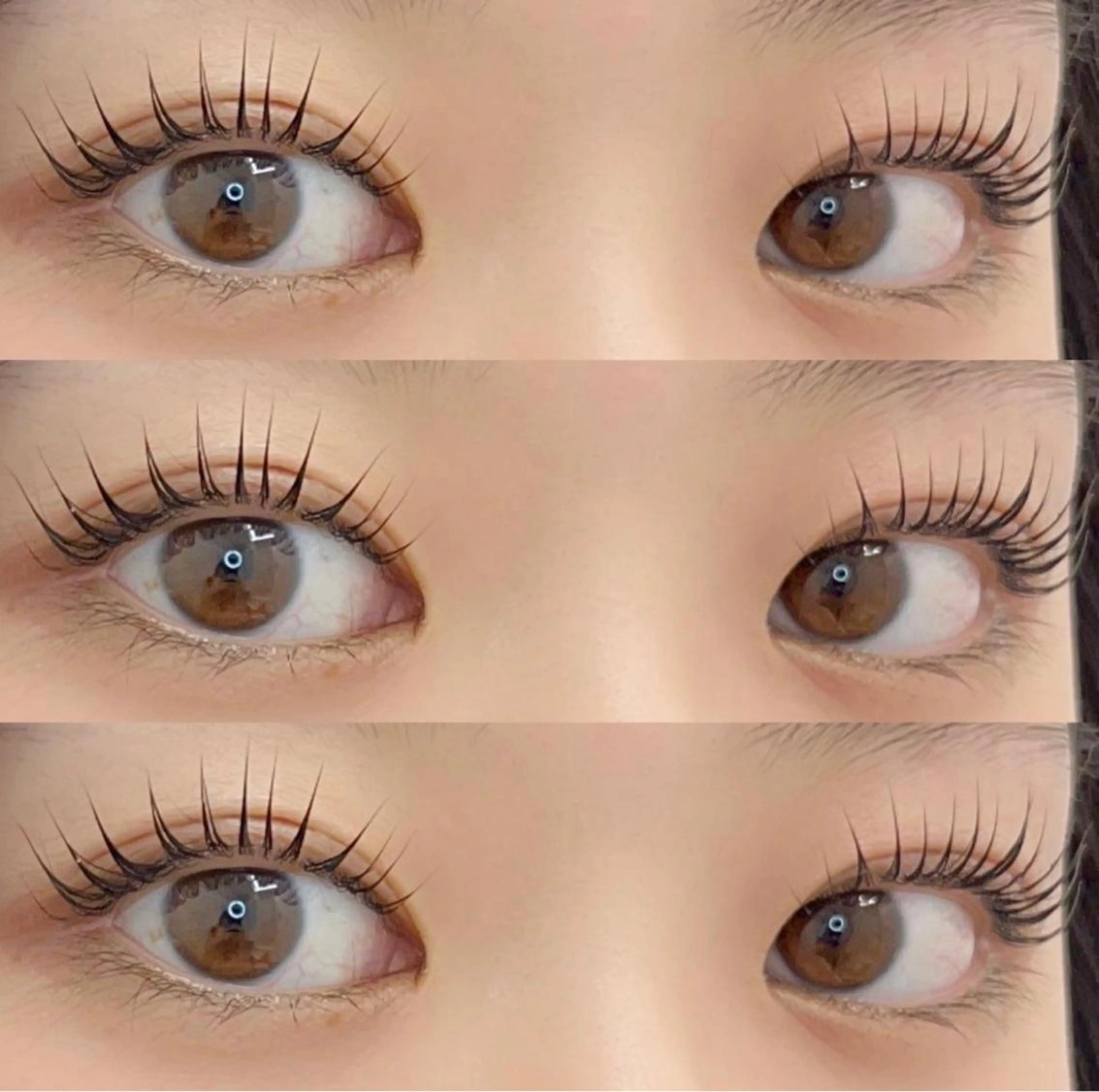 【平日限定】🤍パリジェンヌorラッシュリフト（トリートメント付）🤍注意事項を必ずお読みくださいの写真