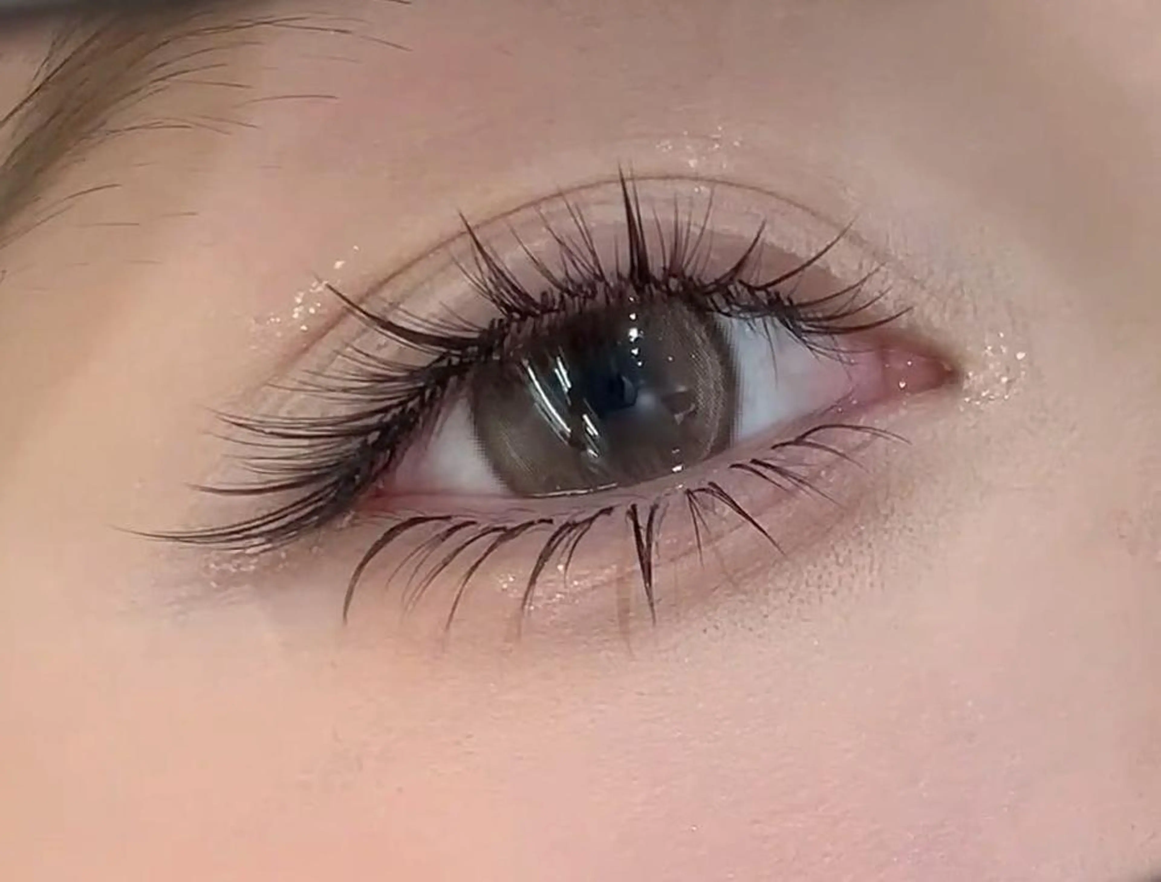 超軽量◆フラットラッシュ100本の写真