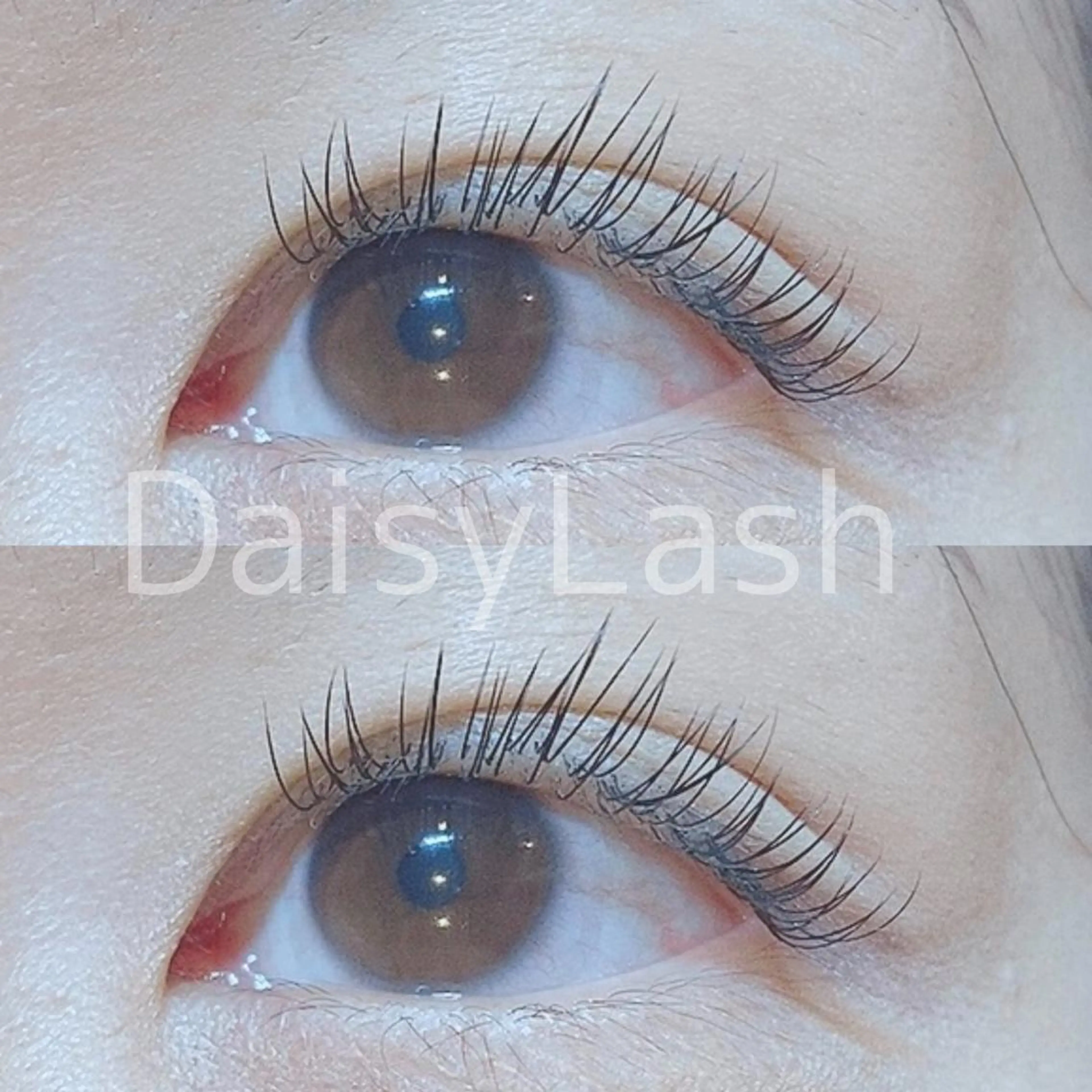 マツエク・マツパ DaisyLash 京橋店のマツエク・マツパデザイン