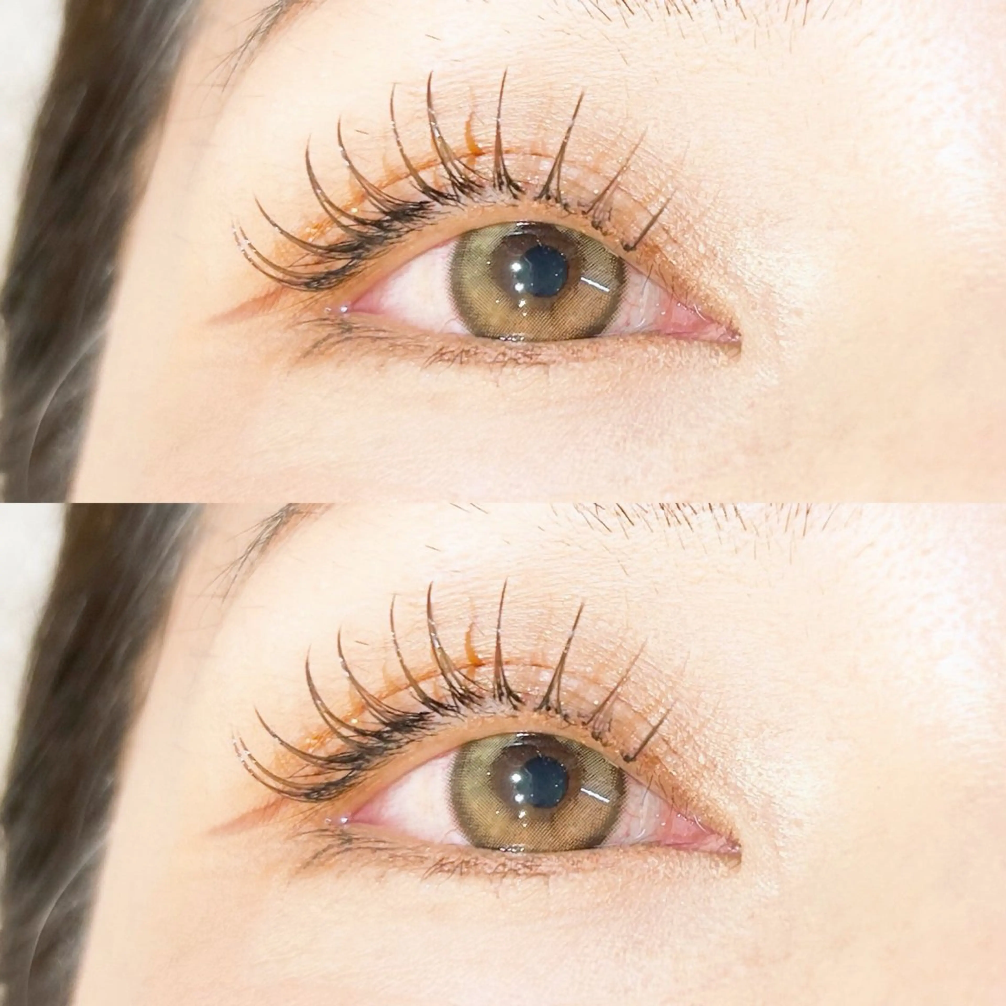 【オフなし】🤎ブラウンカラー🐿LEDフラットラッシュ120本🤎の写真