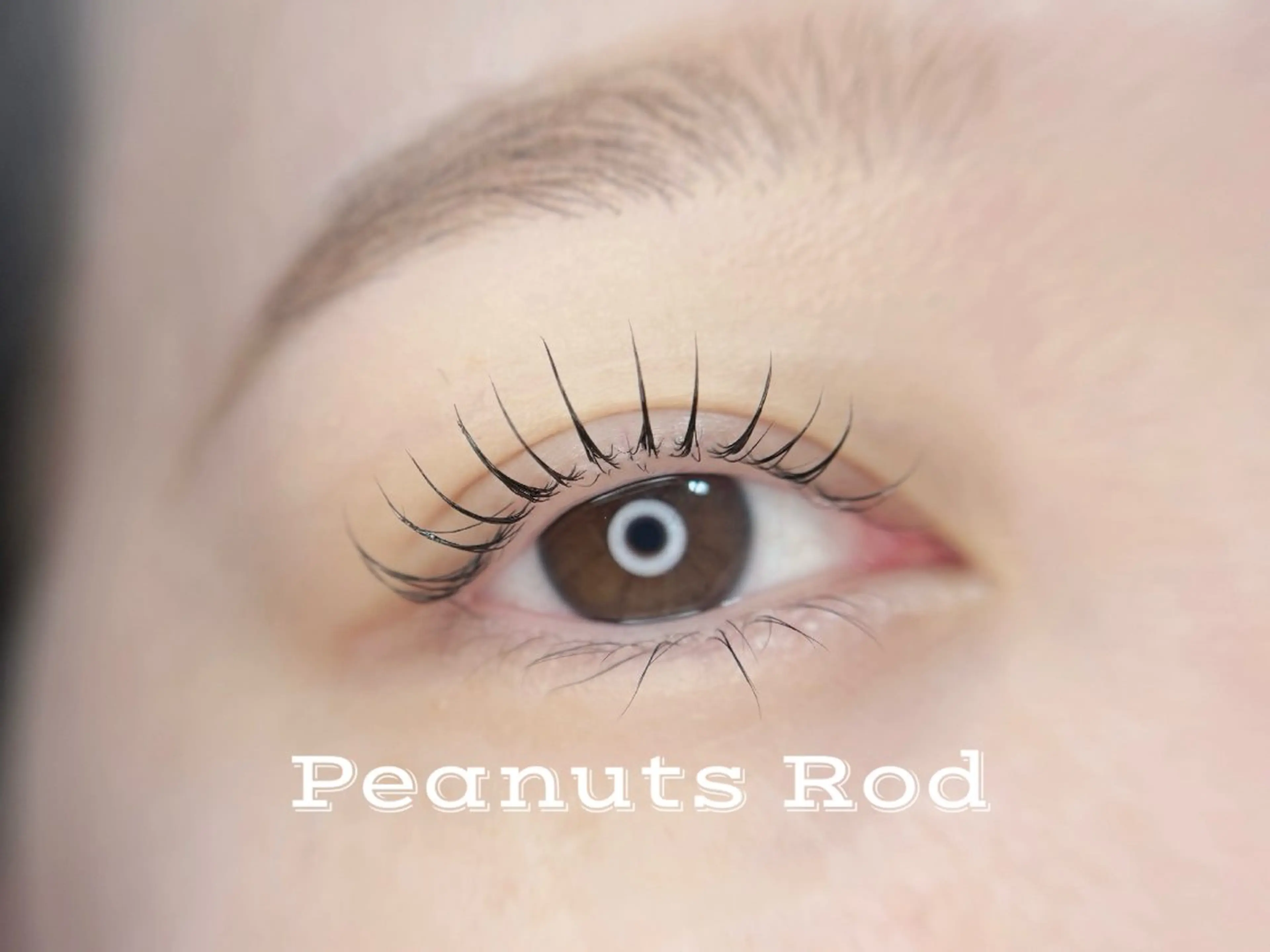 マツエク・マツパ まつげパーマ 一重×まつ毛パーマ 🦋MaaZlash 南流山FUKA🤍のマツエク・マツパデザイン