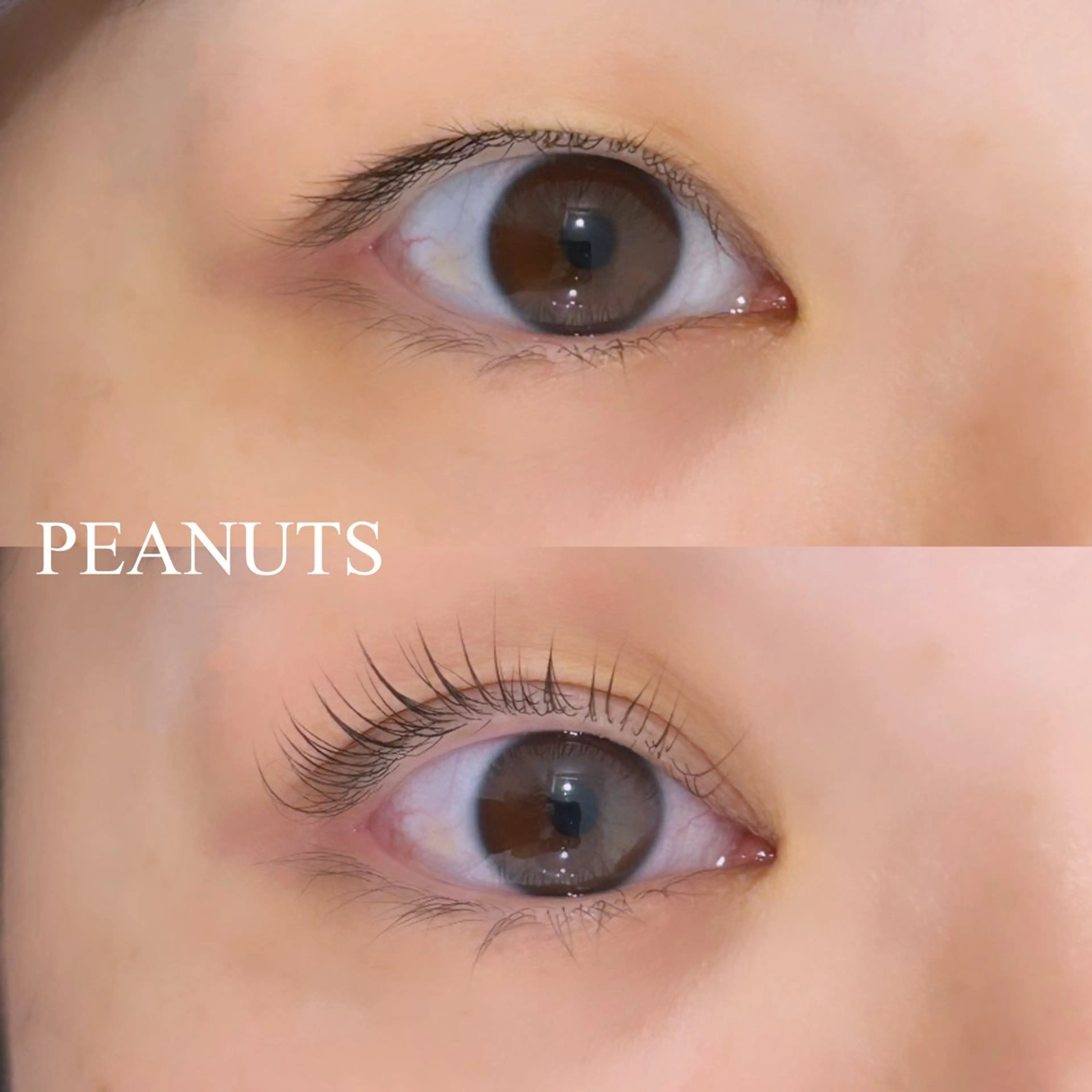 マツエク・マツパ chiri／似合わせ ／まつげパーマ／立川のマツエク・マツパデザイン