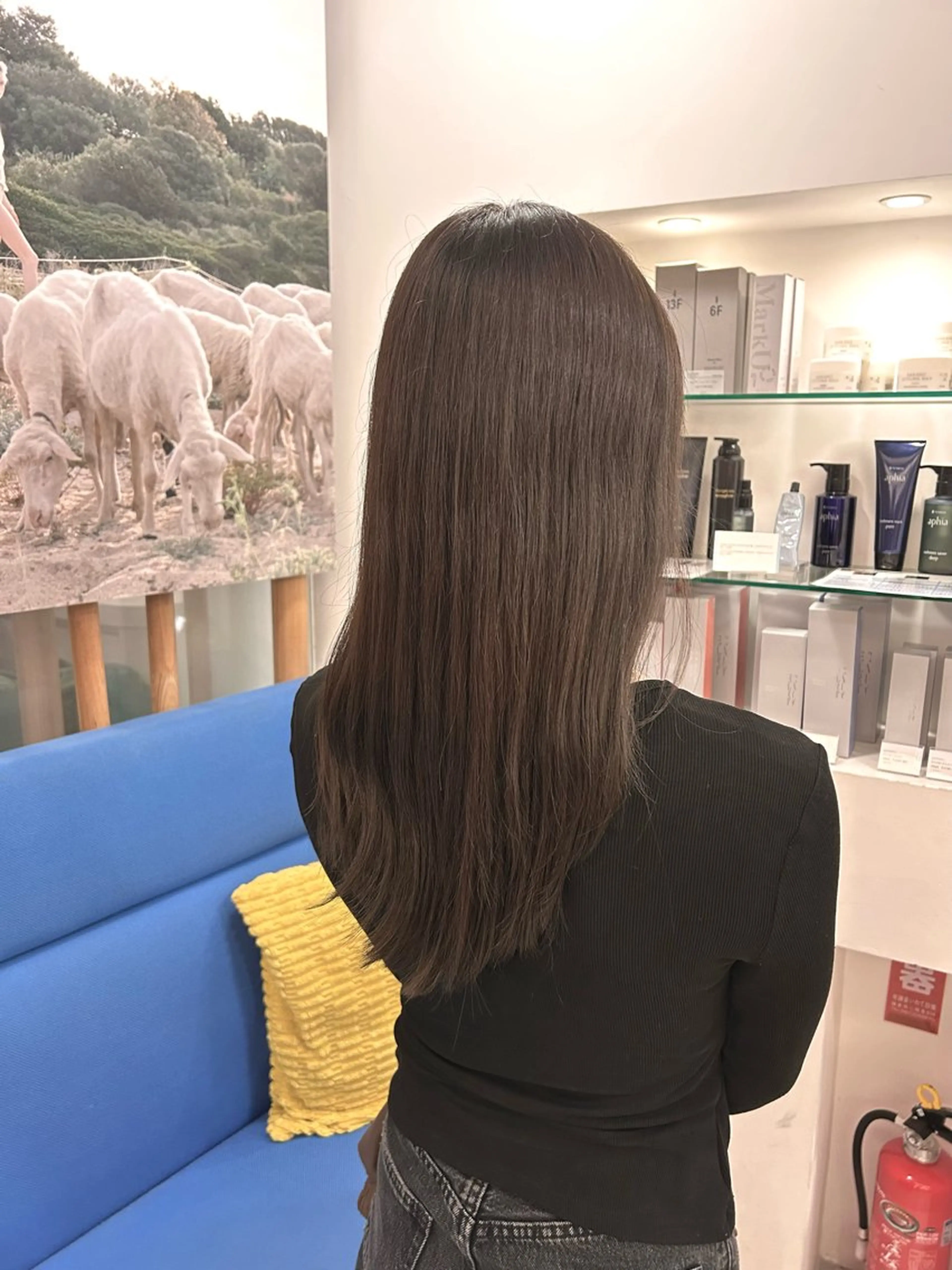 カラー アッシュ アッシュグレー ヘアカラー あい /ヘアカラーのヘアスタイル