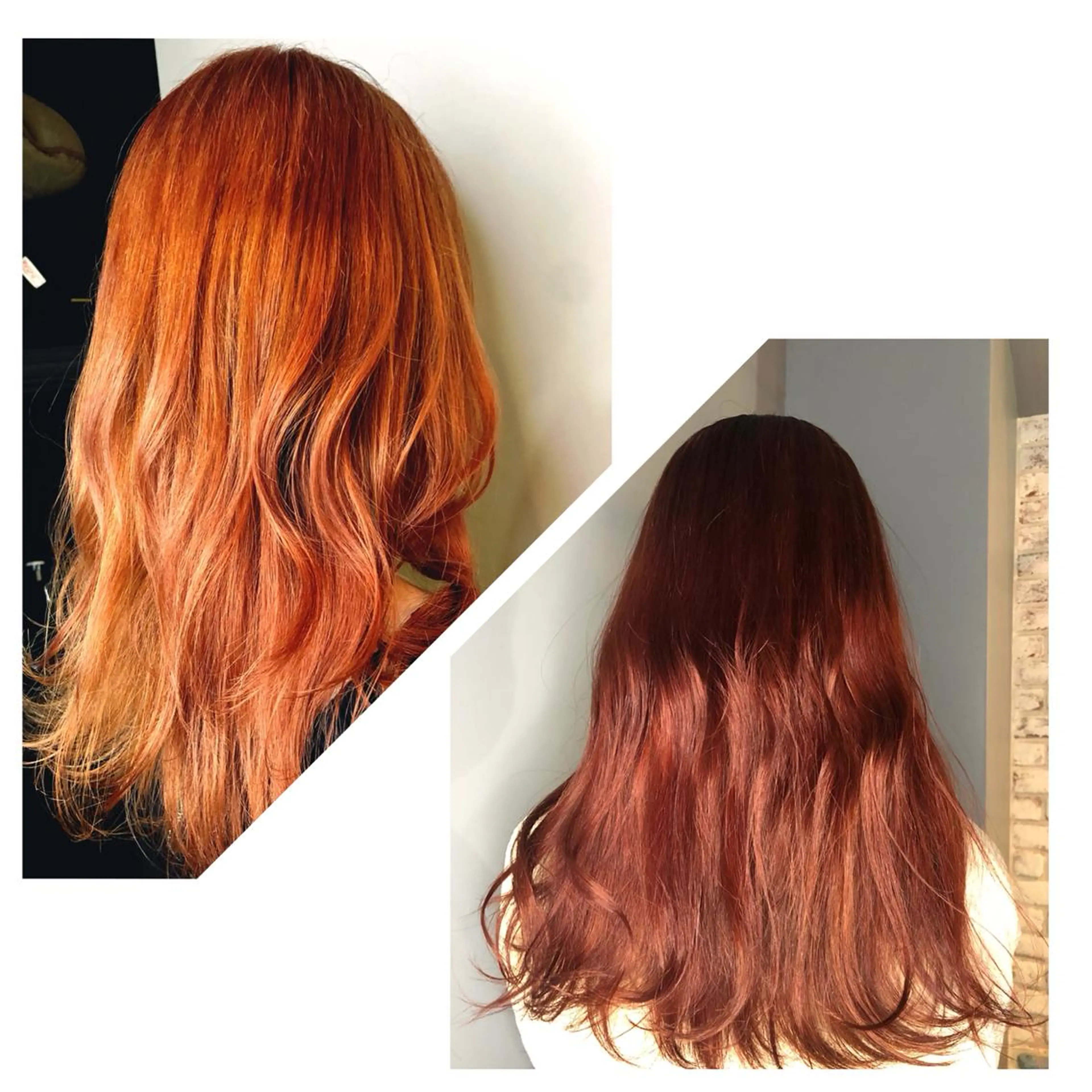 セミロング カラー 顔まわり職人🇰🇷 韓国ヘア/KAITOのヘアスタイル