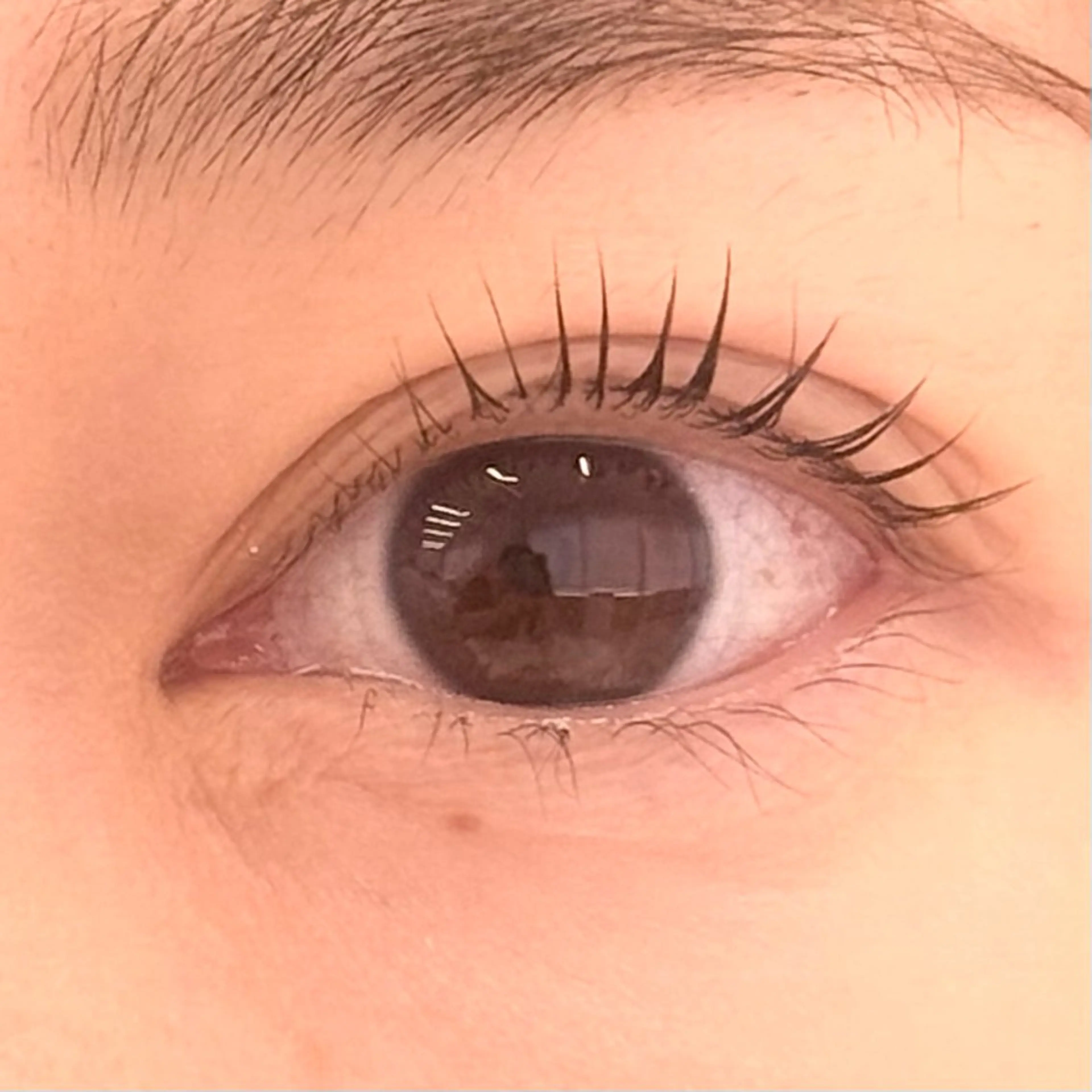 マツエク・マツパ キュート パリジェンヌラッシュリフト 下まつげエクステ ジャパンアイリストカレッジ恵比寿本校所属・多田 智子のマツエク・マツパデザイン