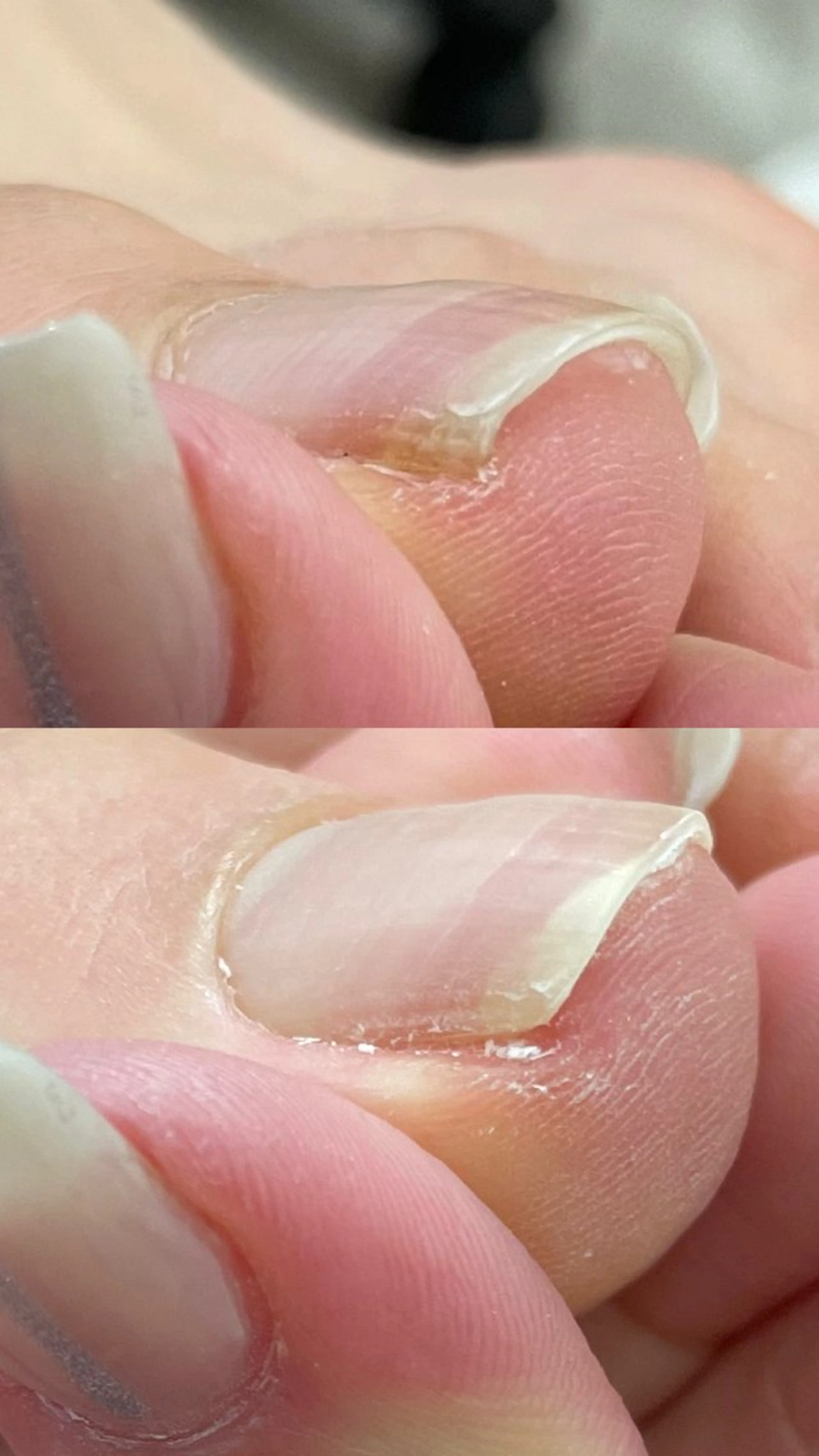 ネイル FIKA 木村のネイルデザイン