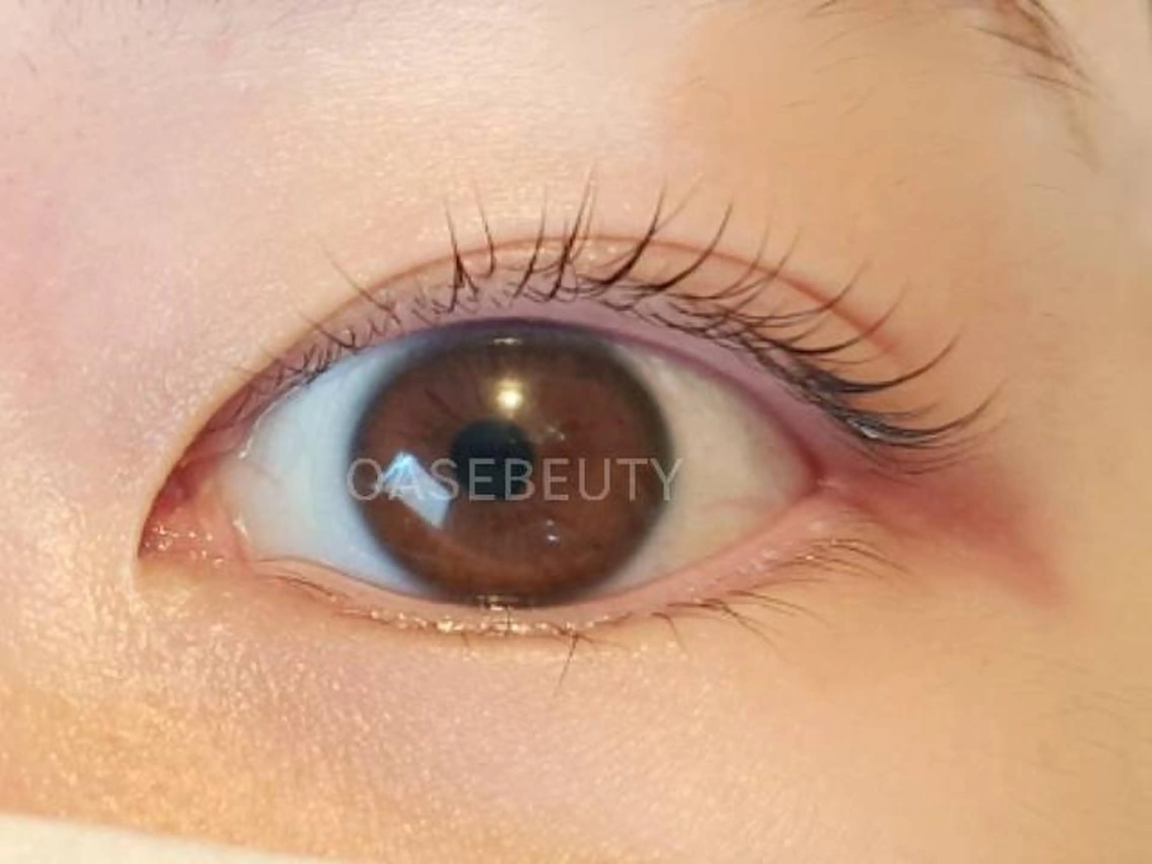 新規様　くるんと可愛い❤Cカール❤まつ毛パーマ上まつげ　【練習モデル】の写真