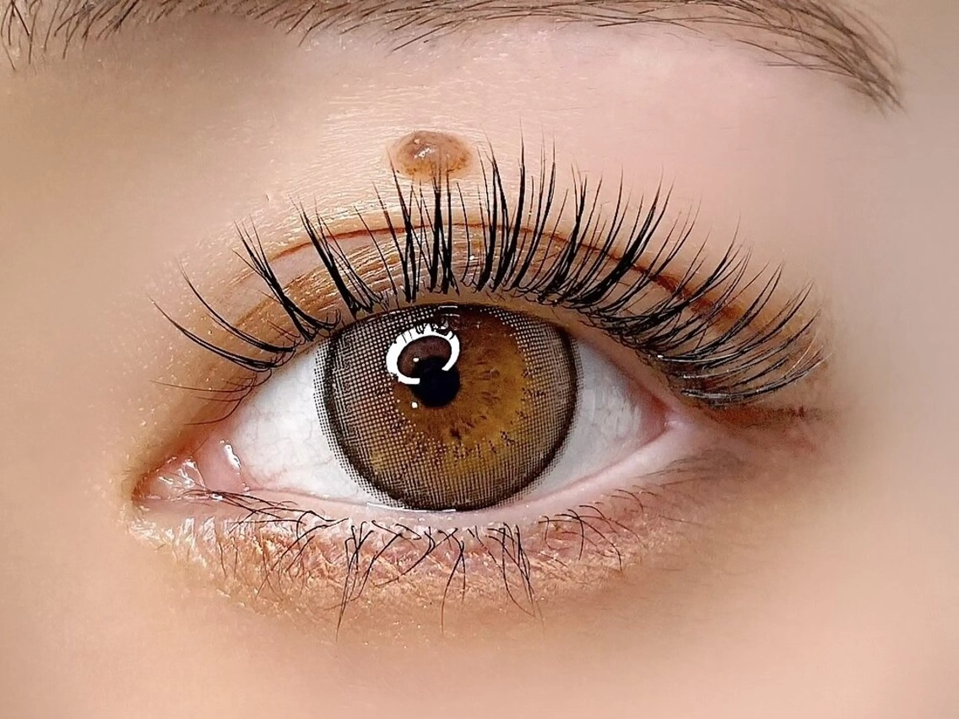 【ナチュラルな仕上がり】🩶フラットラッシュ100本🩶の写真