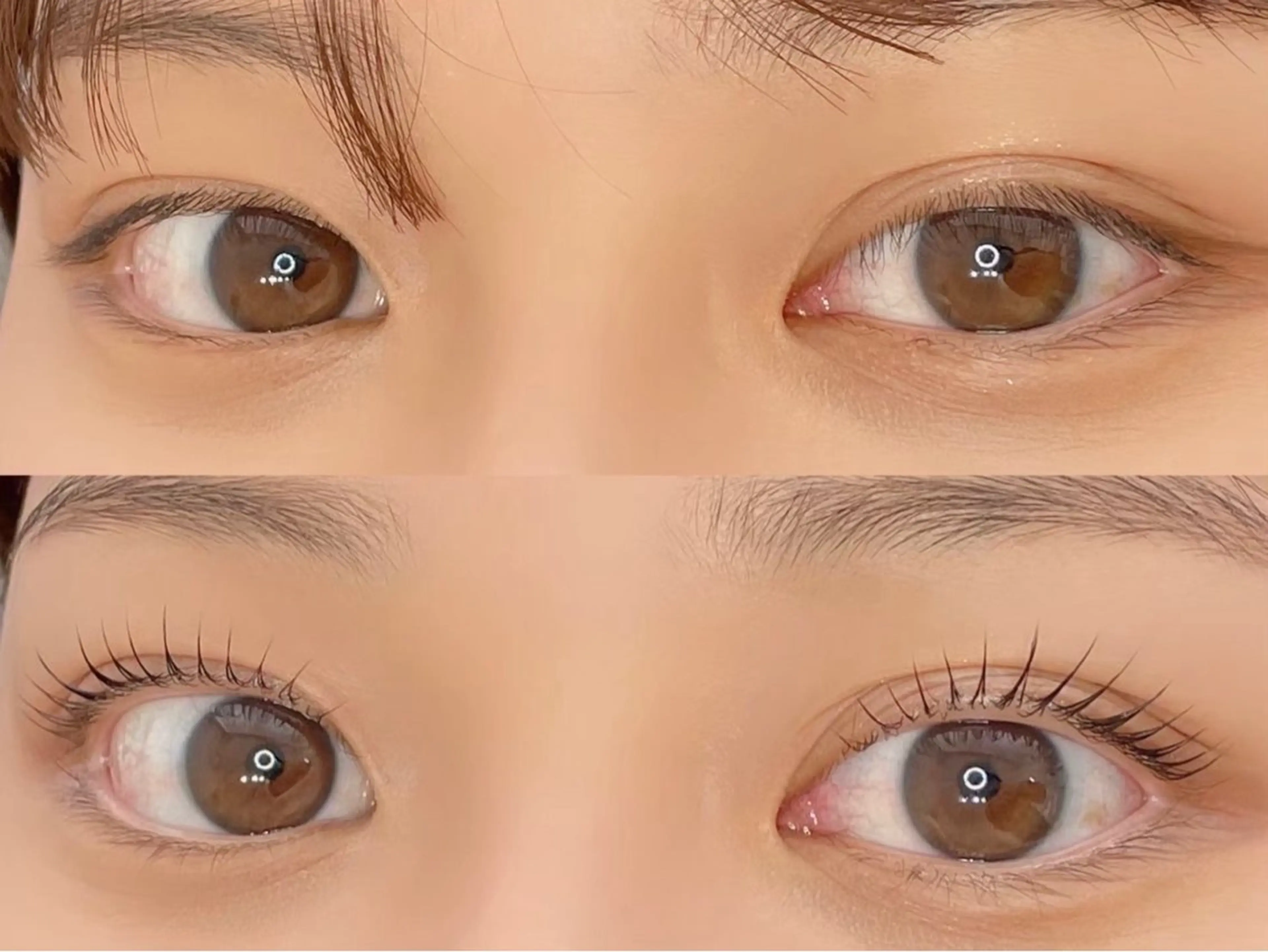 マツエク・マツパ 艶カラー/マツエク /似合わせ🤍ななえのマツエク・マツパデザイン