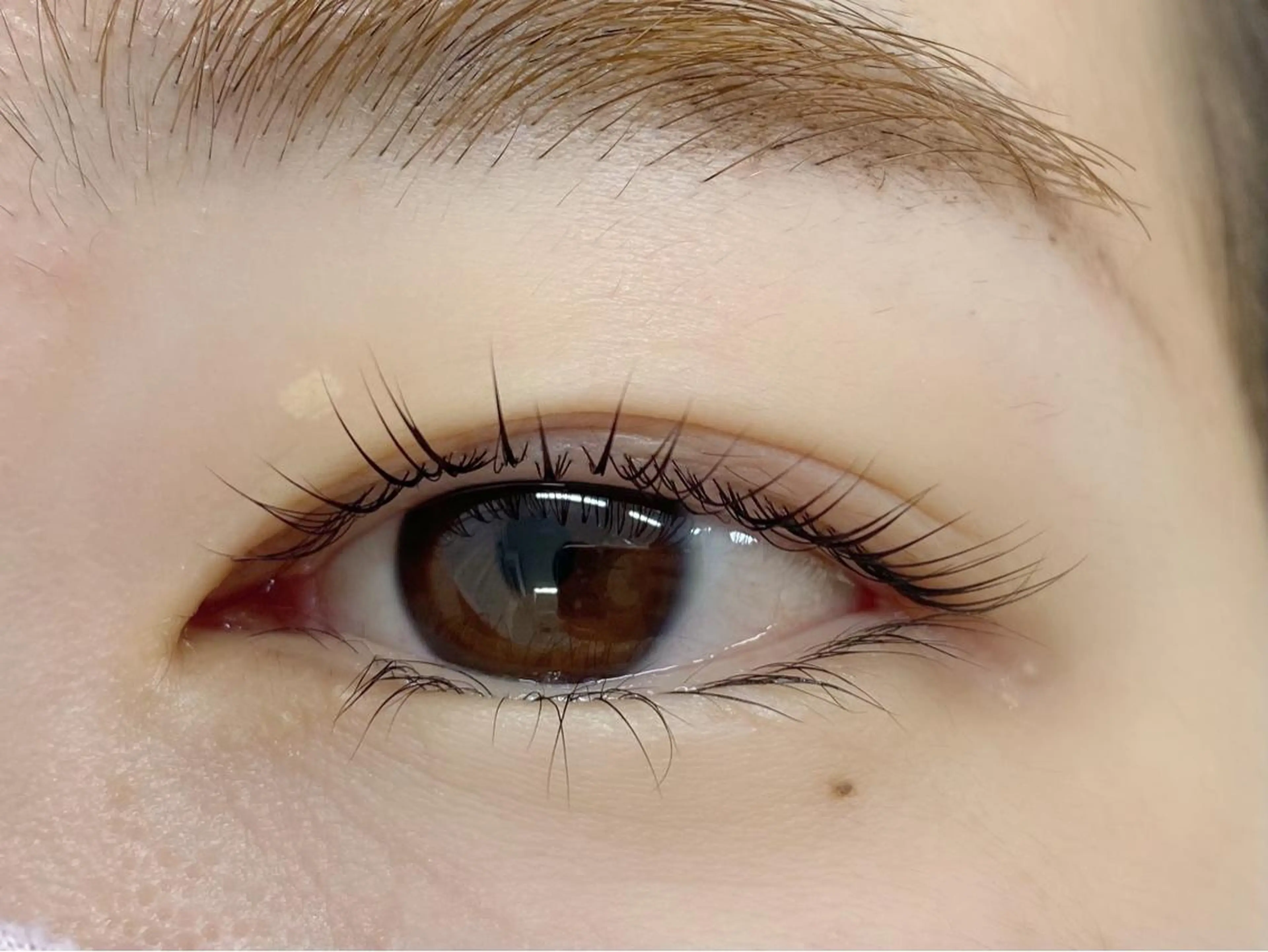 マツエク・マツパ パリジェンヌラッシュリフト クレアラルーチェ明石大久保店所属・クレアラルーチェ 明石大久保店のマツエク・マツパデザイン