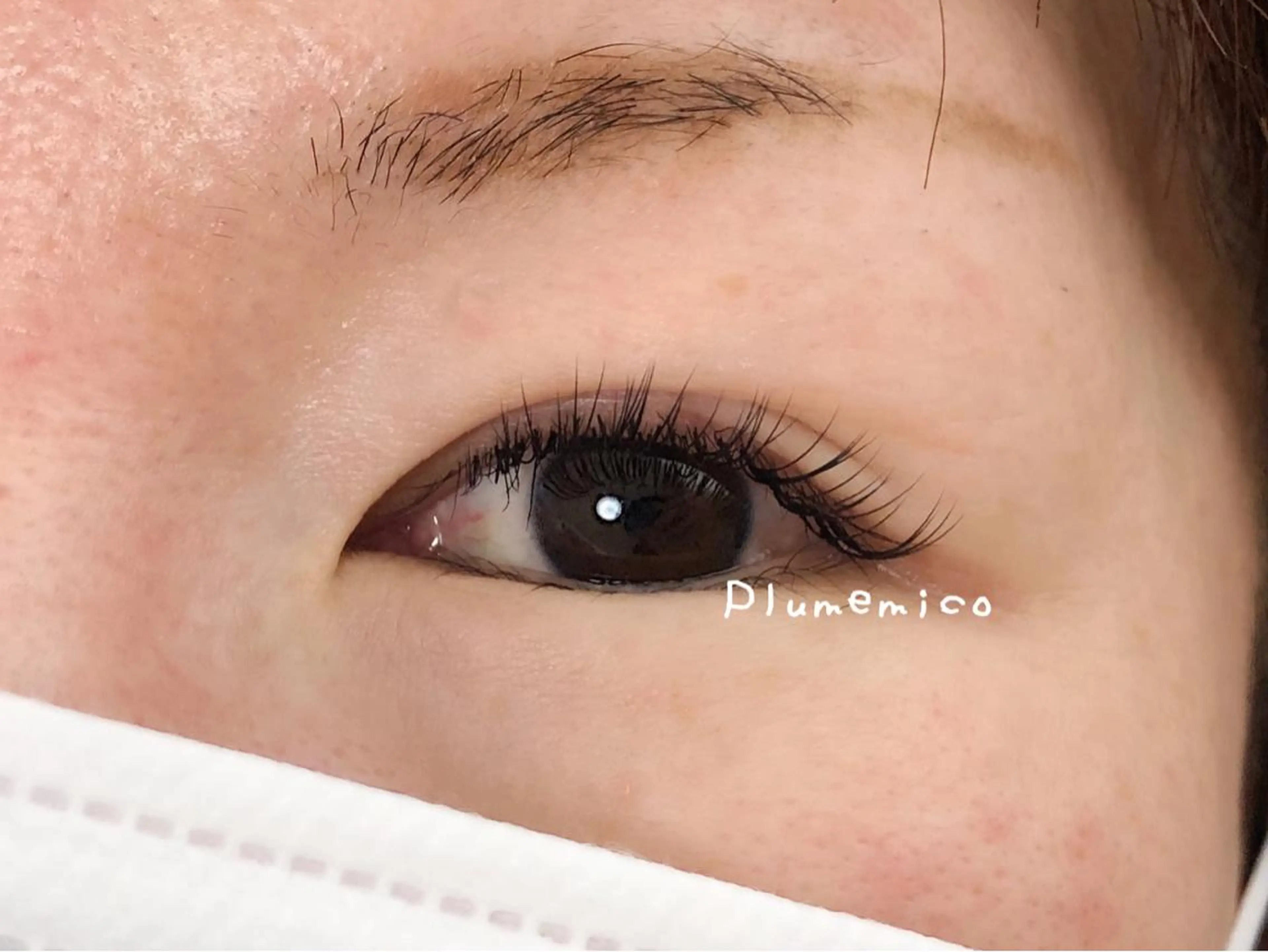 マツエク・マツパ マツエク Plume micoのマツエク・マツパデザイン