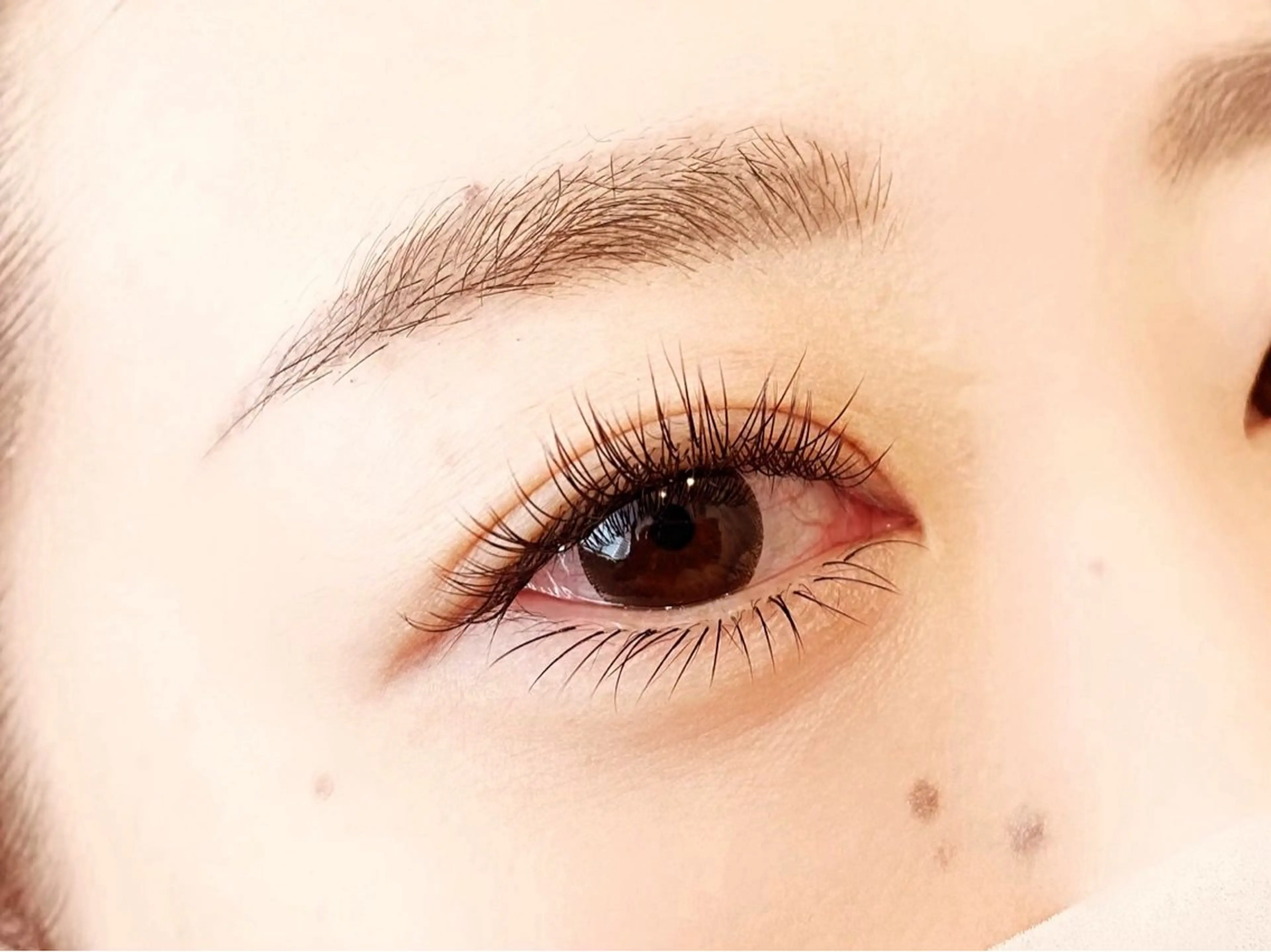 マツエク・マツパ Cカール フラットラッシュ サブスク🩵 EYEのマツエク・マツパデザイン