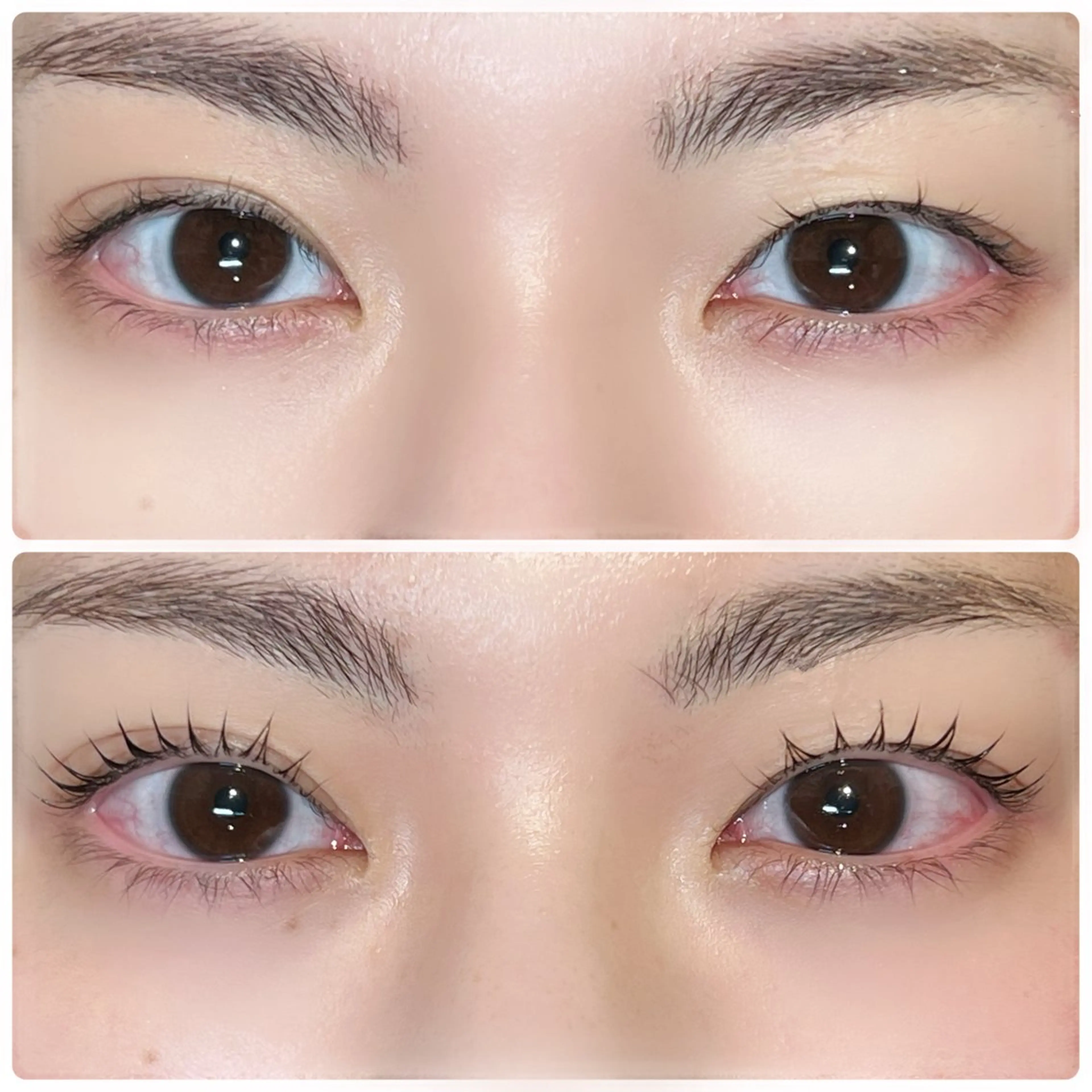 学割パリジェンヌラッシュリフト(コーティング付き)の写真