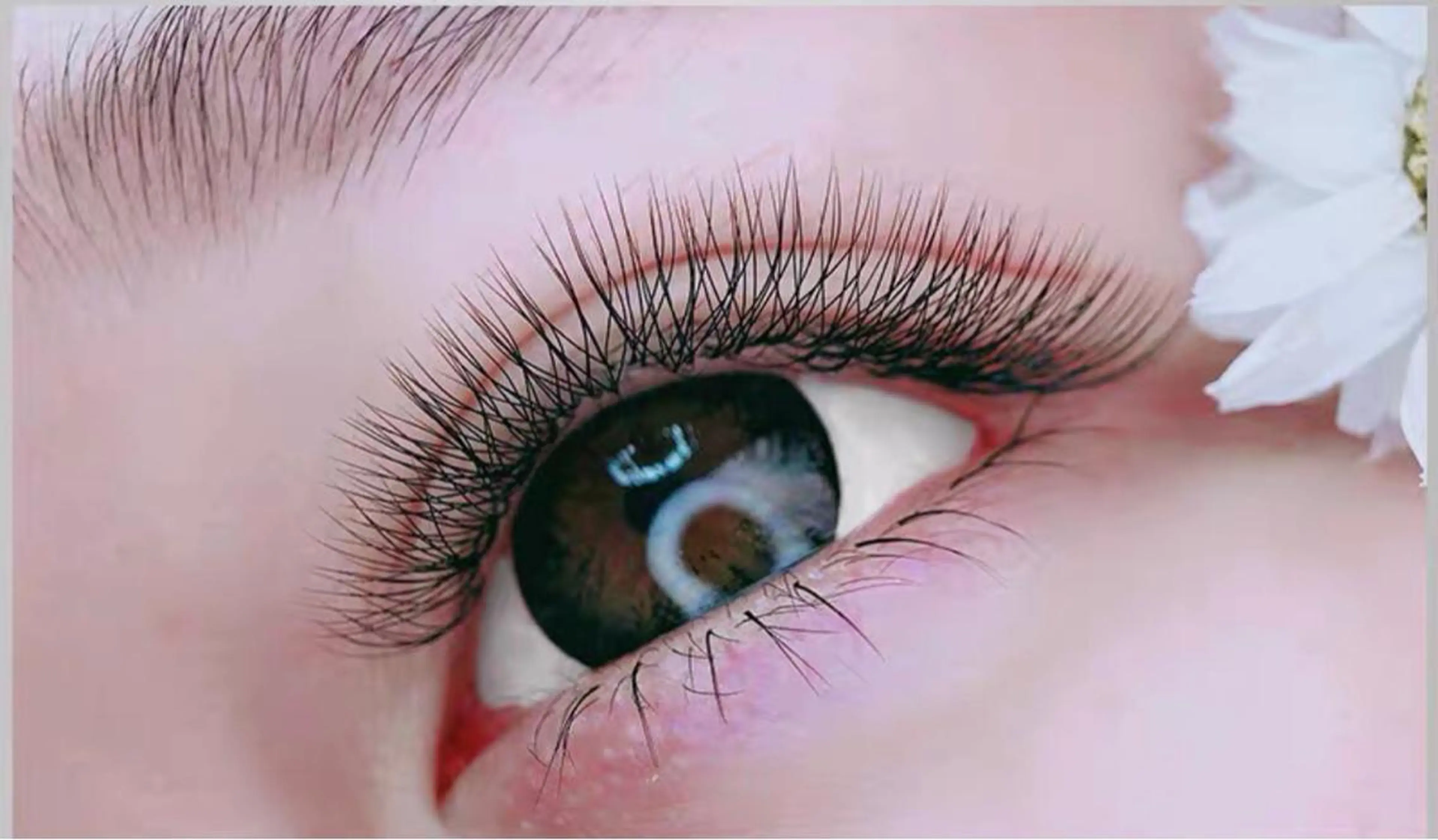 Wラッシュ/3Dボリュームラッシュ 〜60束(0.07mm×3本/1束)の写真